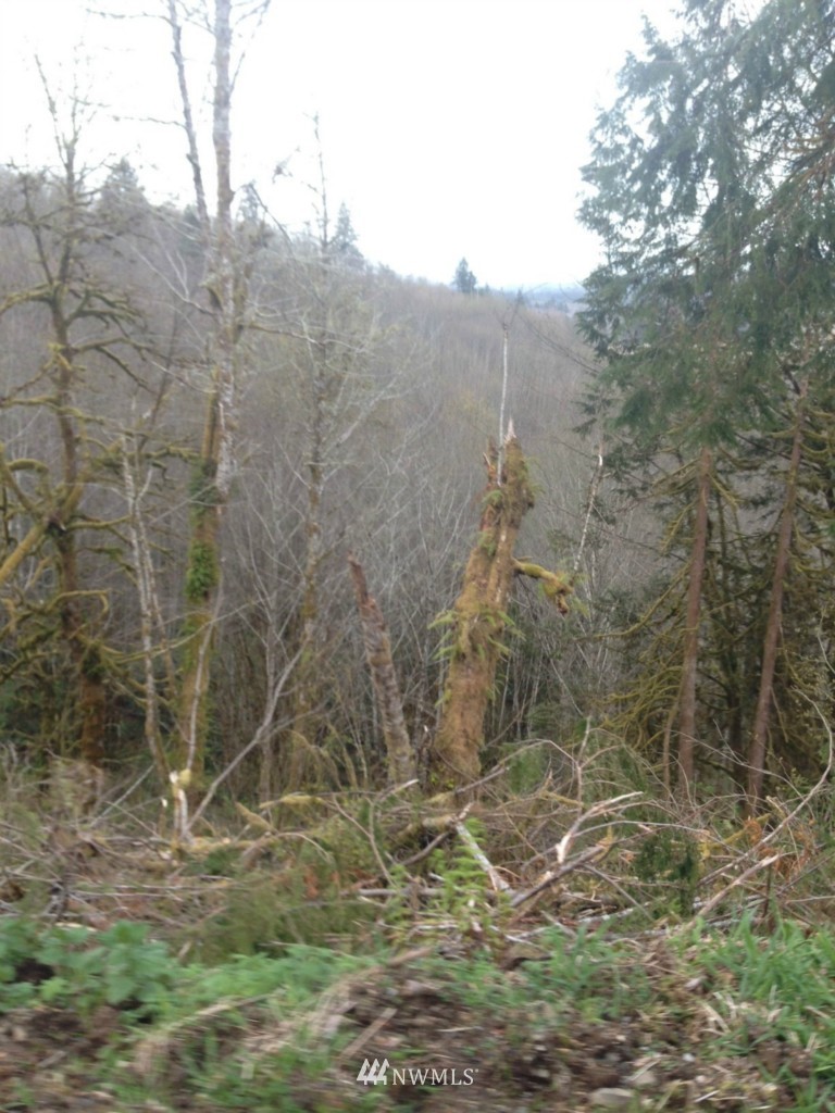 750 Mox Chehalis Road McCleary, WA 98557 - Photo 4 of 5 Gallery Image 4