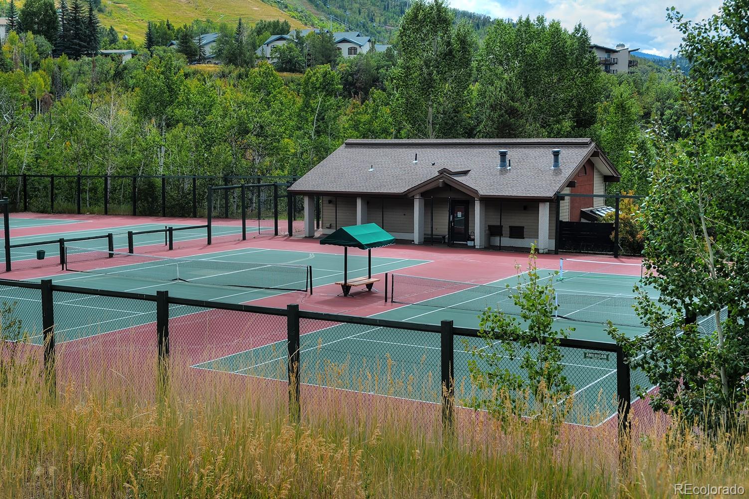 1680 Ranch Road, Unit 203 Steamboat Springs, CO 80487 - Photo 19 of 25 a view of a house with pool and yard