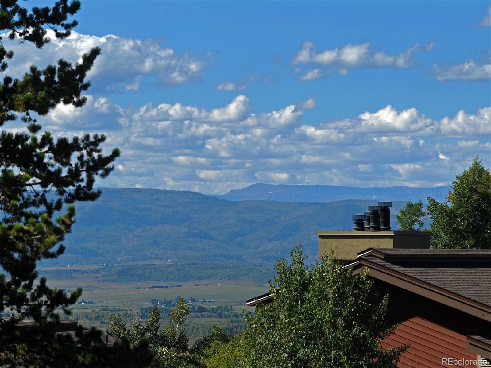 1680 Ranch Road, Unit 203 Steamboat Springs, CO 80487 - Photo 3 of 25 a view of a yard