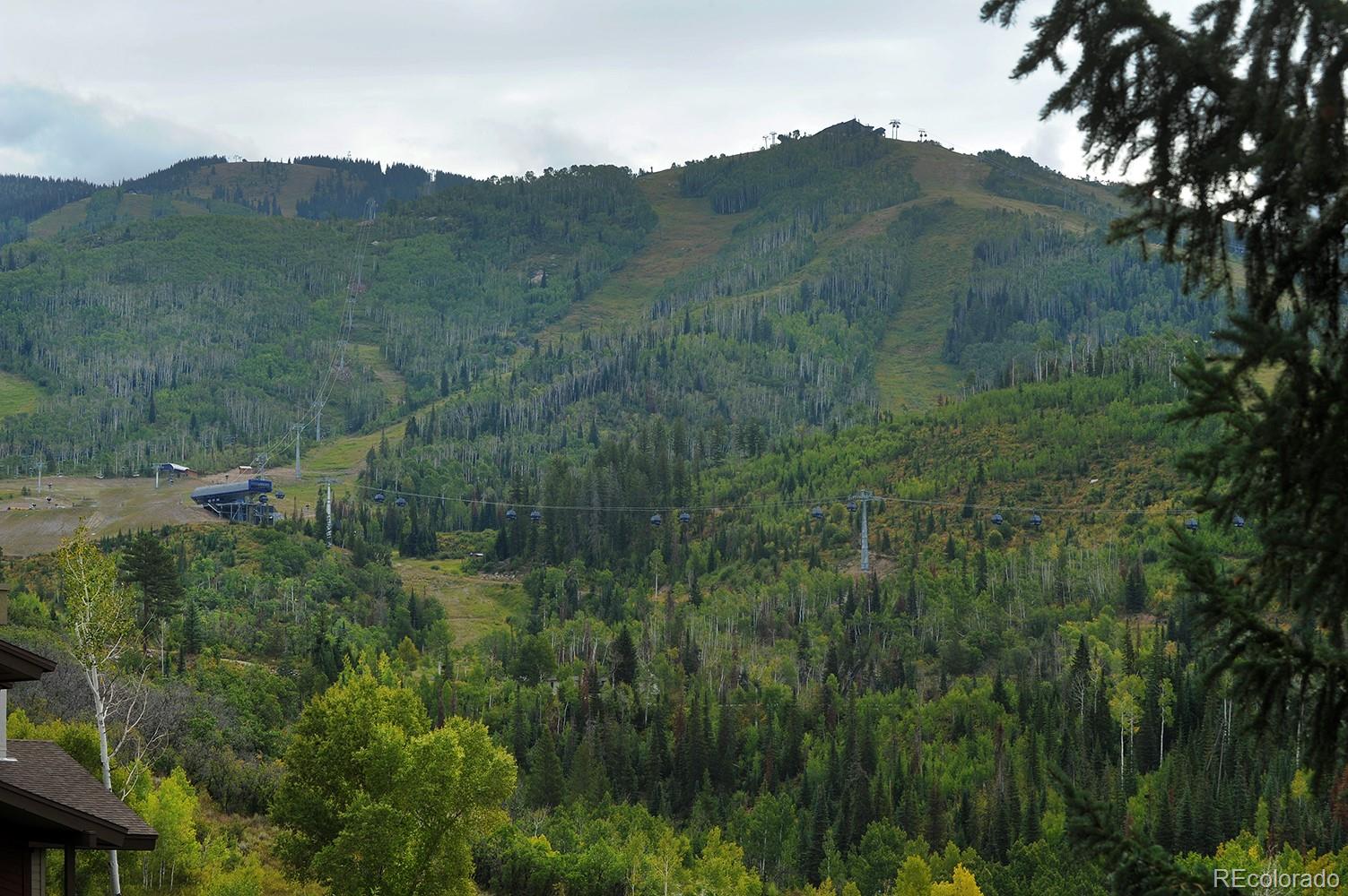 1680 Ranch Road, Unit 203 Steamboat Springs, CO 80487 - Photo 9 of 25 a view of a lush green forest with a street