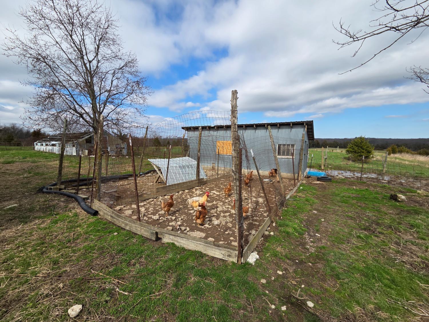 9996 Bennington Pike Vevay, IN 47043 - Photo 33 of 56