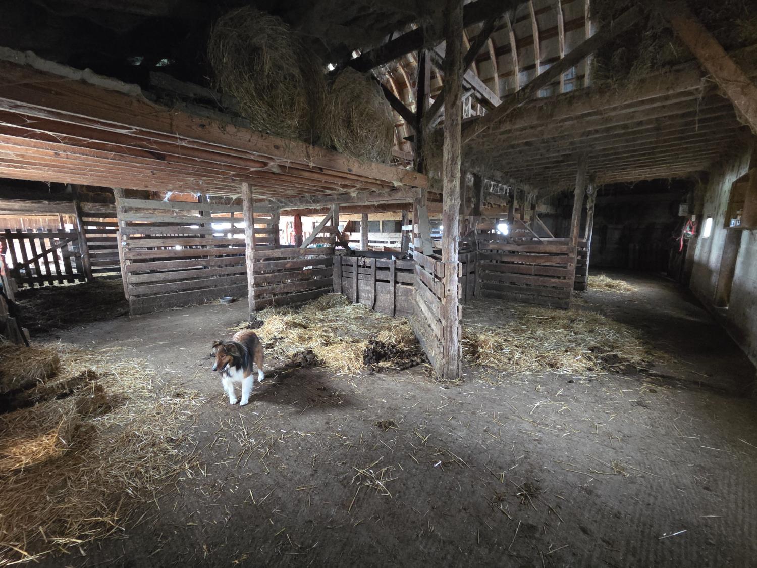 9996 Bennington Pike Vevay, IN 47043 - Photo 43 of 56