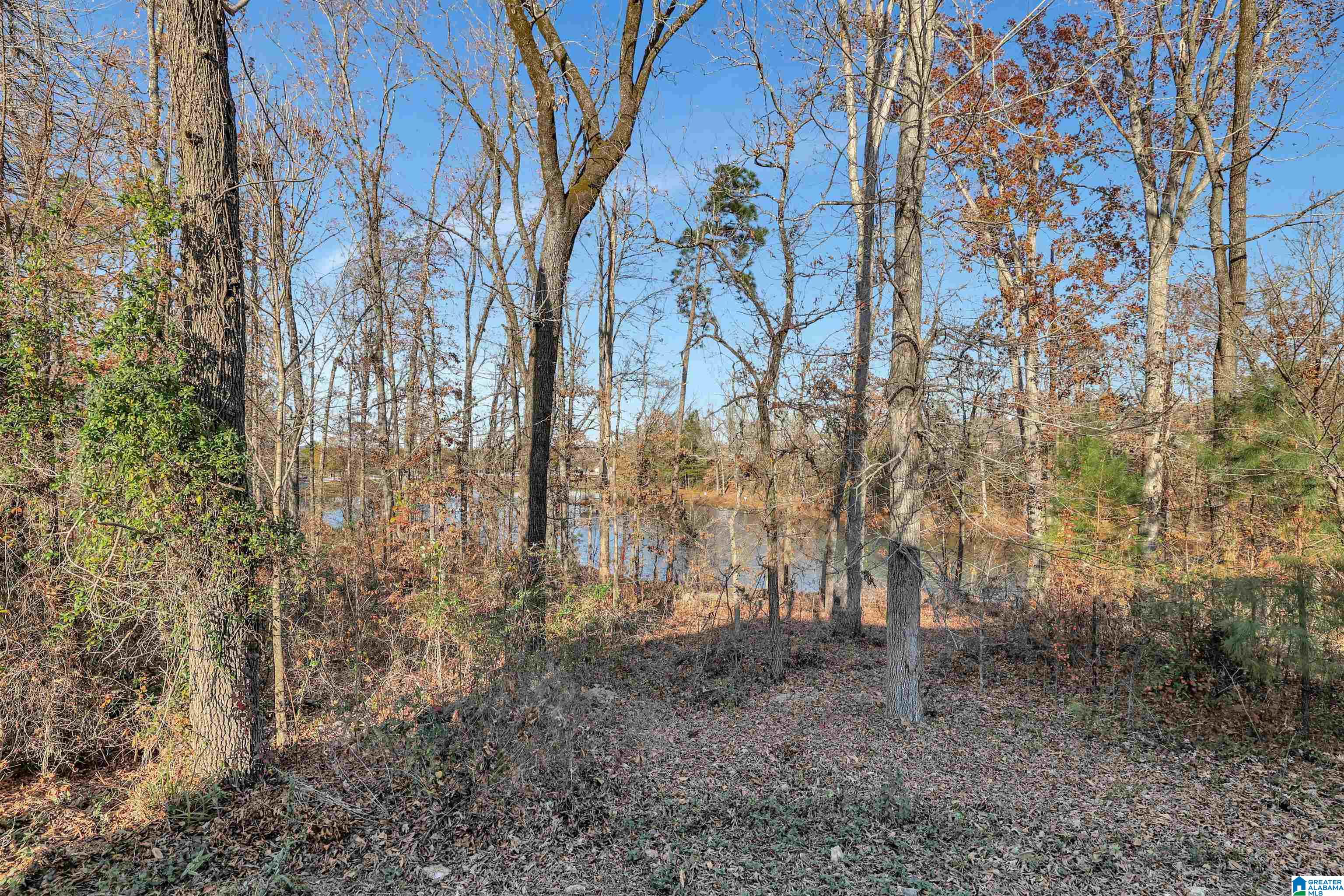 6350 Letson Farms Road Bessemer, AL 35022 - Photo 46 of 46