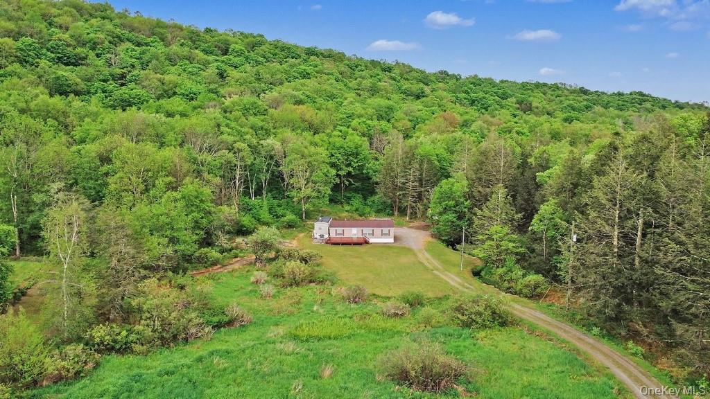 308 William Brown Road Fremont, NY 12741 - Photo 8 of 33 a view of an outdoor space and a yard