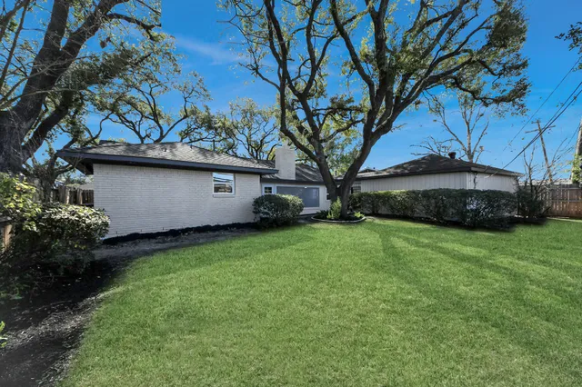 a view of a backyard with plants and large trees