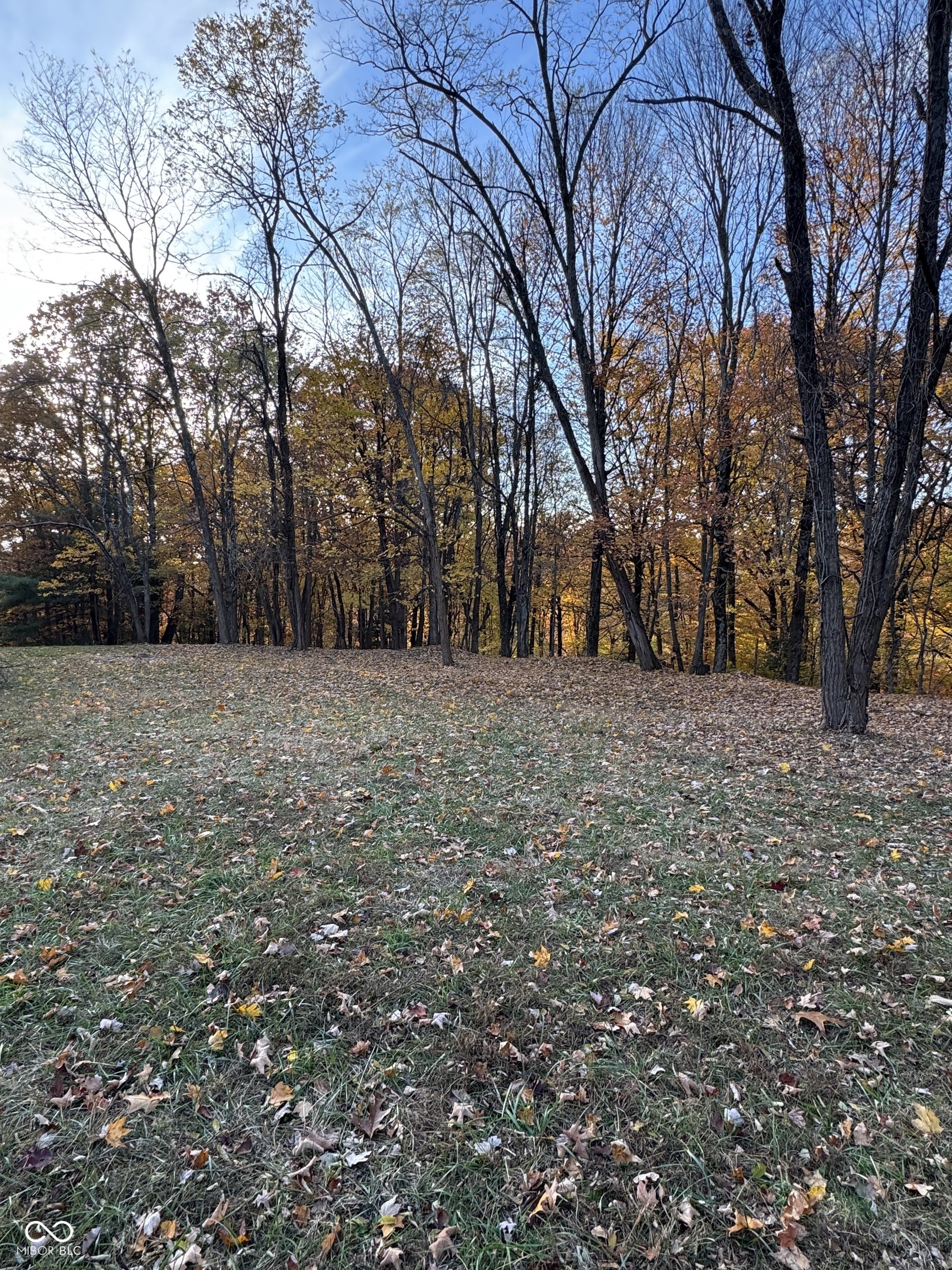 1867 Dynasty Ridge Road Martinsville, IN 46151 - Photo 12 of 14