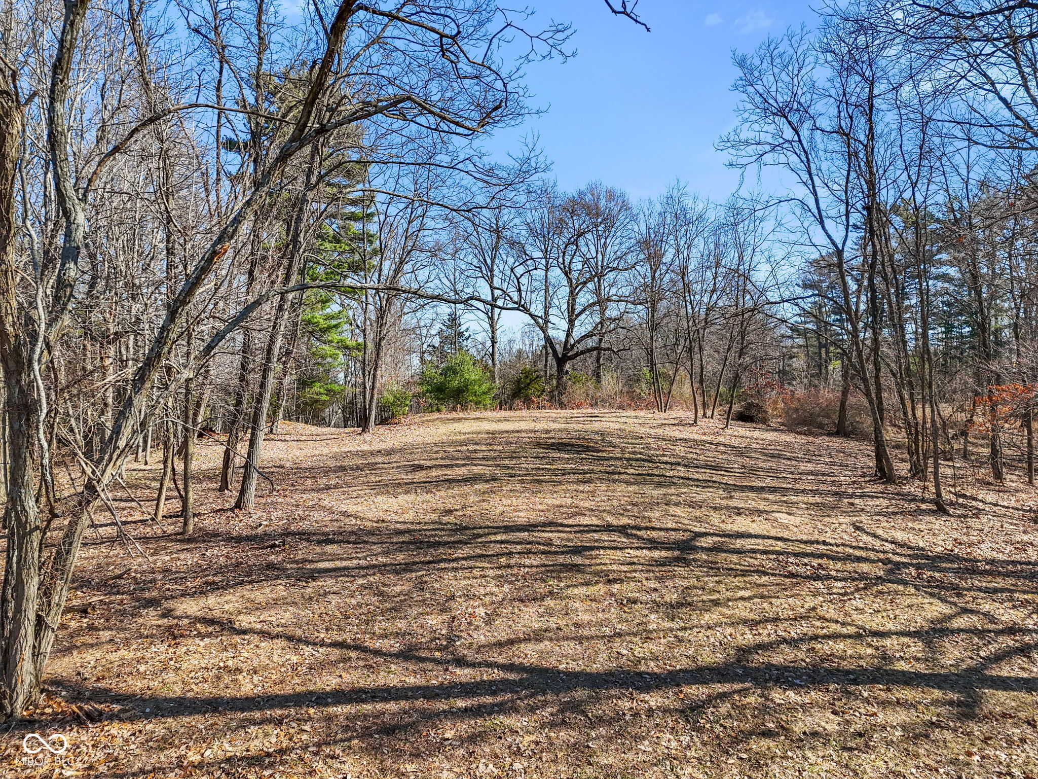 1867 Dynasty Ridge Road Martinsville, IN 46151 - Photo 4 of 14
