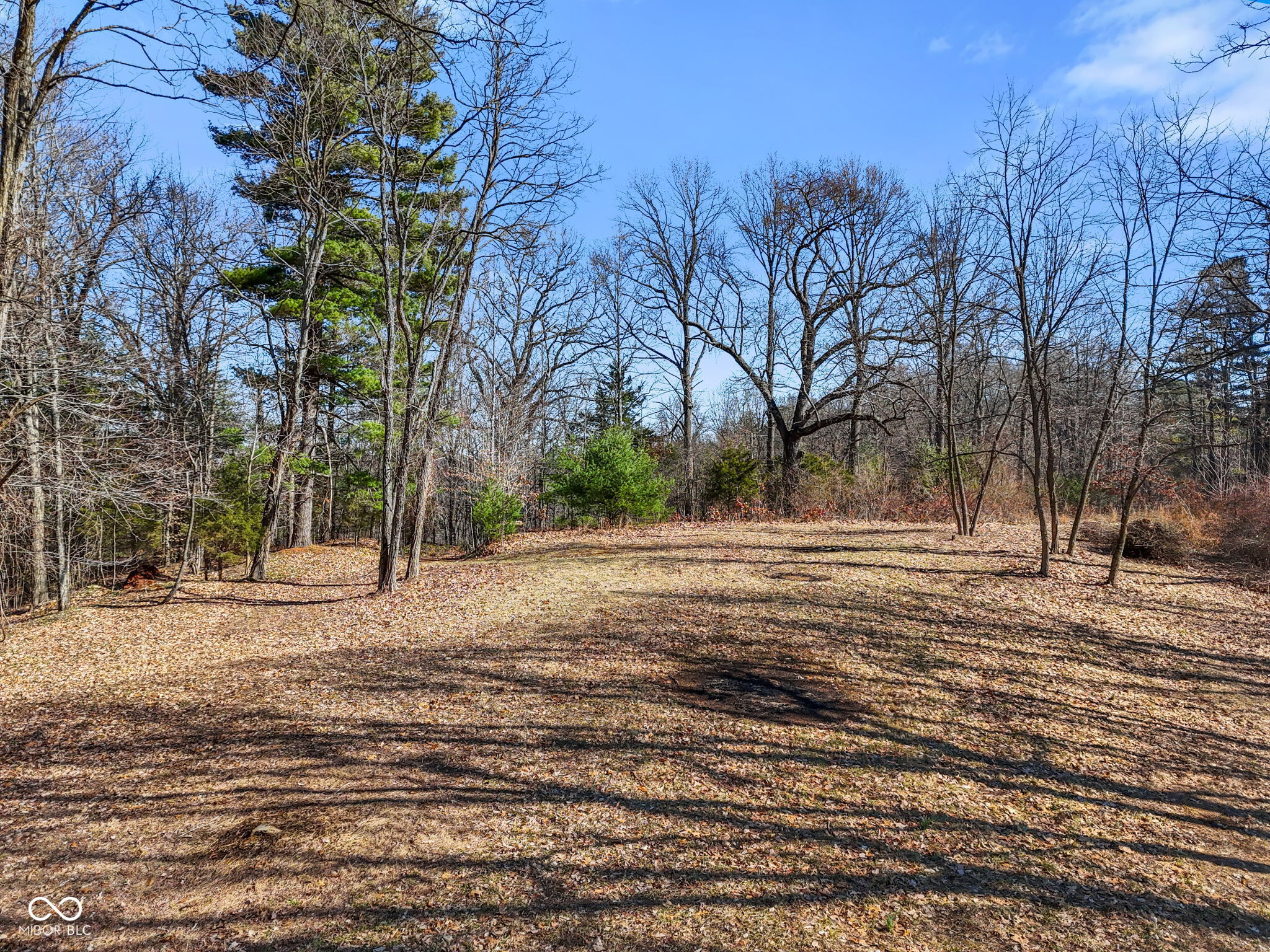 1867 Dynasty Ridge Road Martinsville, IN 46151 - Photo 5 of 14