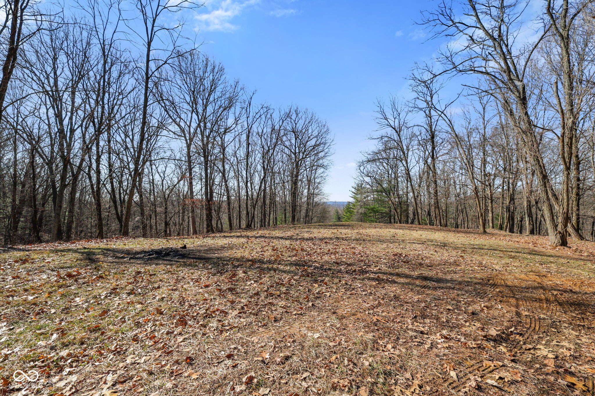 1867 Dynasty Ridge Road Martinsville, IN 46151 - Photo 6 of 14