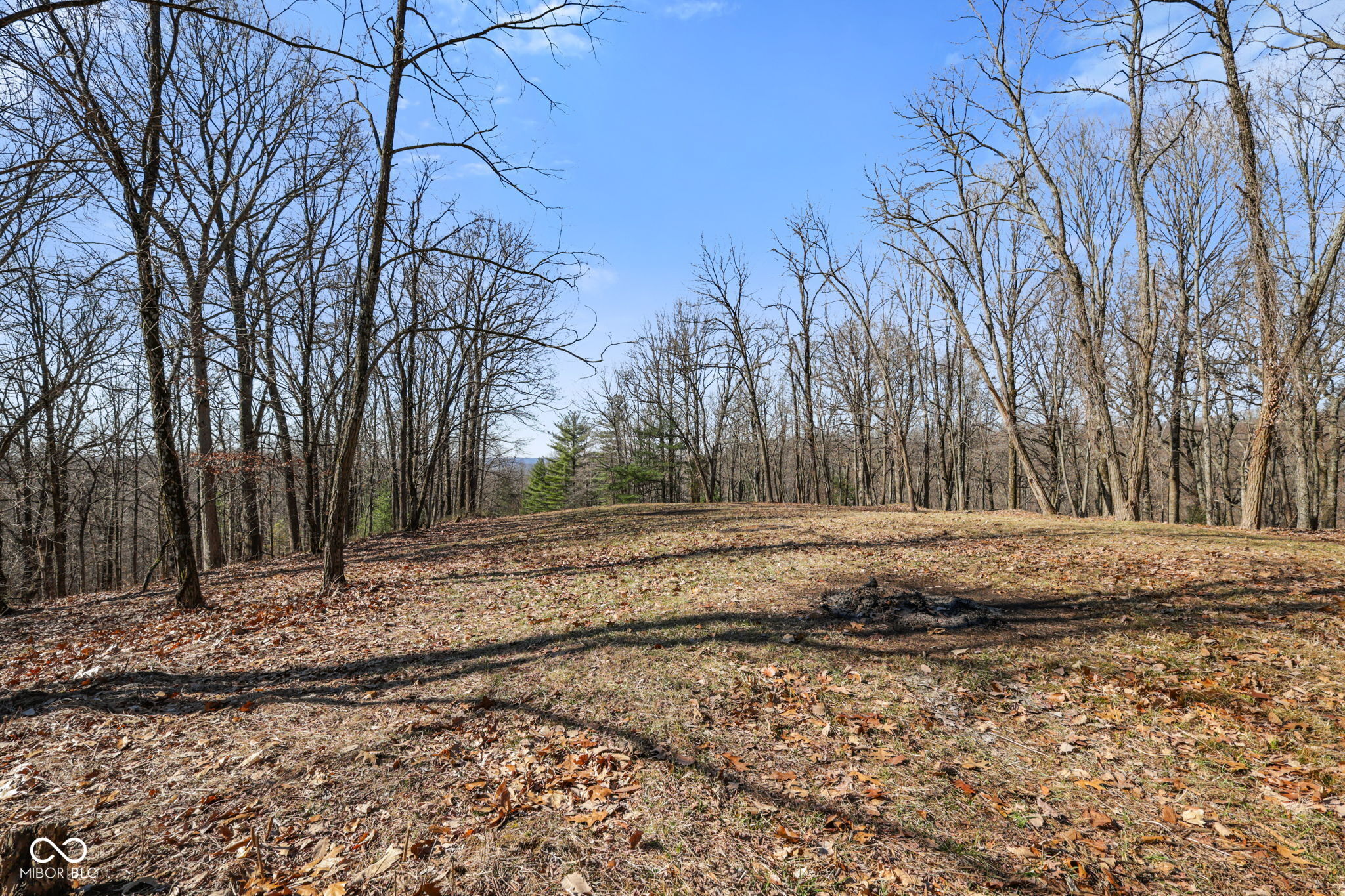 1867 Dynasty Ridge Road Martinsville, IN 46151 - Photo 7 of 14