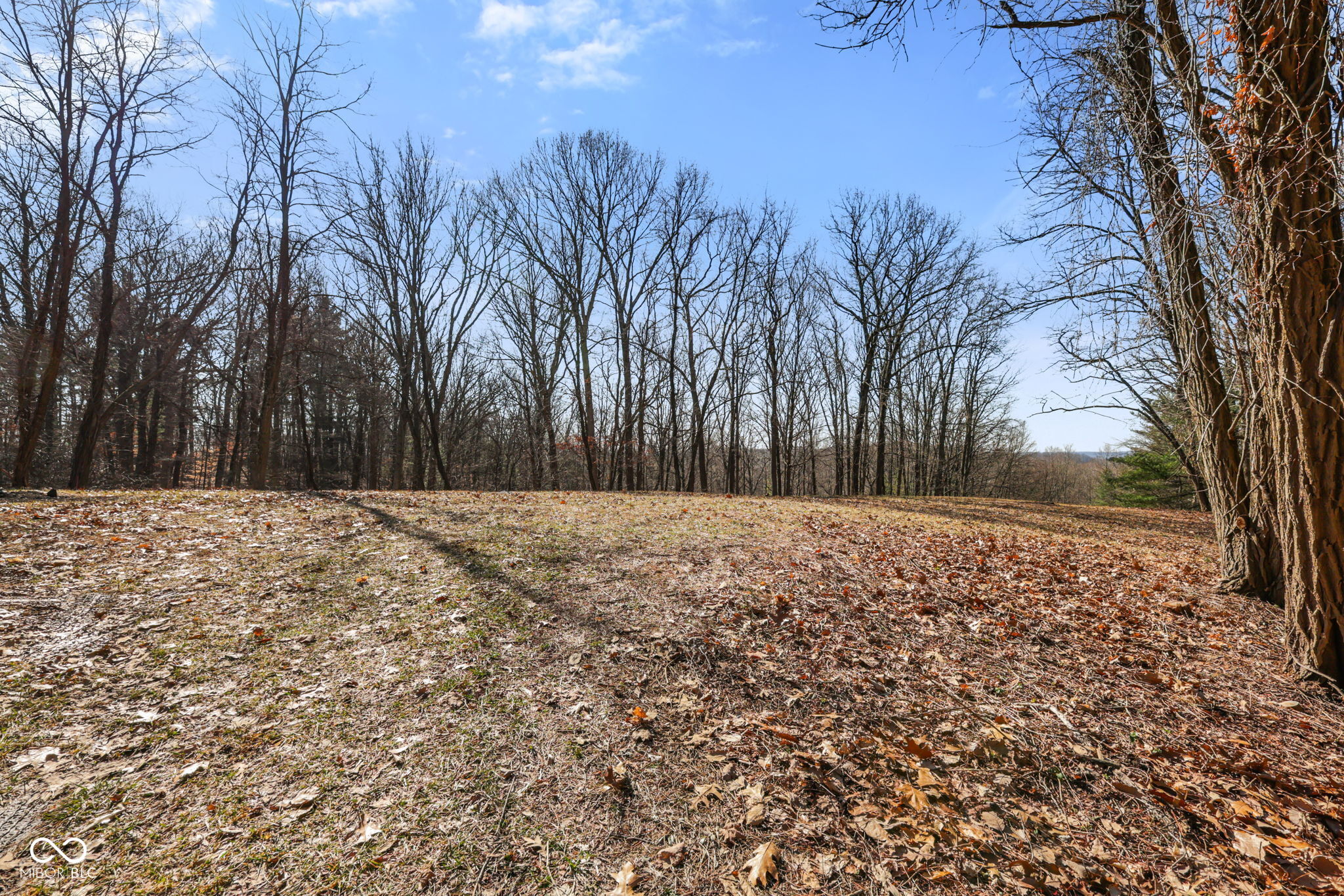 1867 Dynasty Ridge Road Martinsville, IN 46151 - Photo 8 of 14