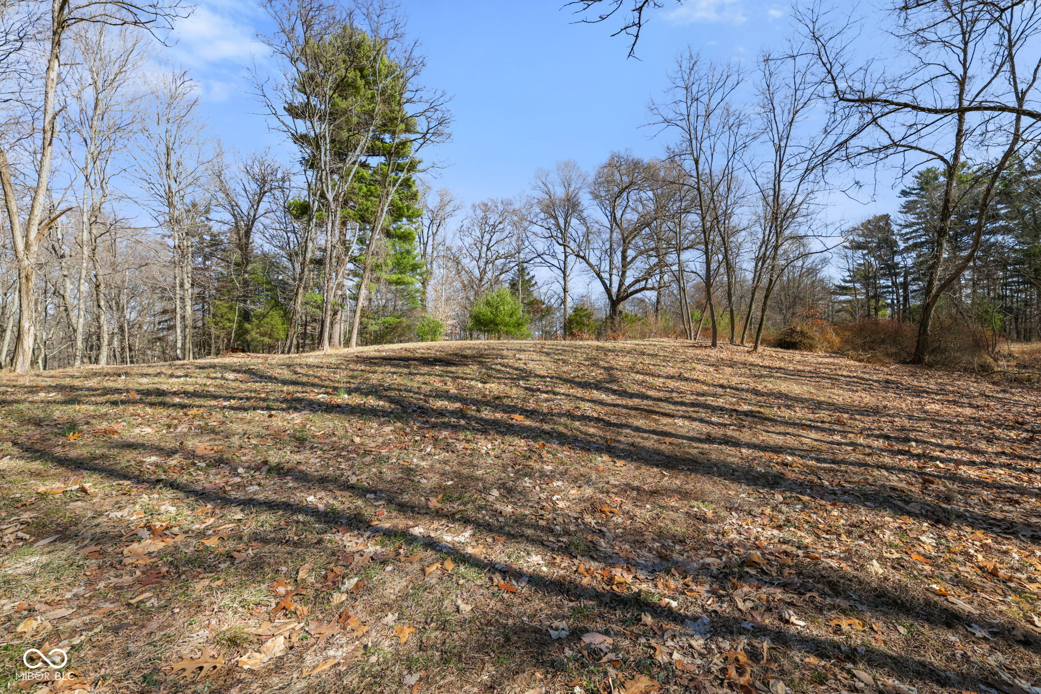 1867 Dynasty Ridge Road Martinsville, IN 46151 - Photo 9 of 14