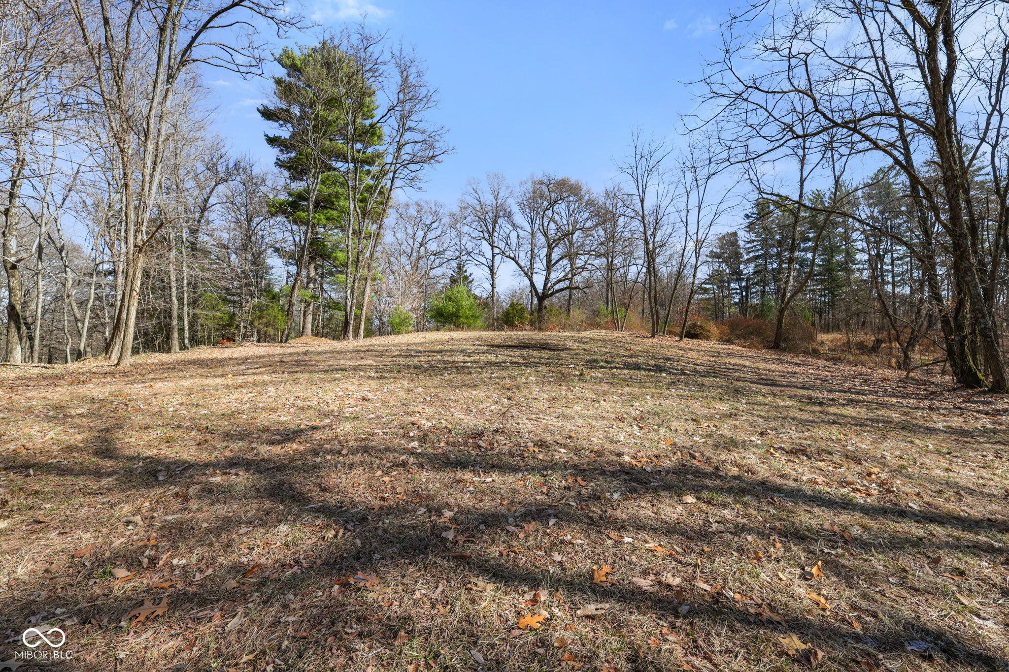 1867 Dynasty Ridge Road Martinsville, IN 46151 - Photo 10 of 14