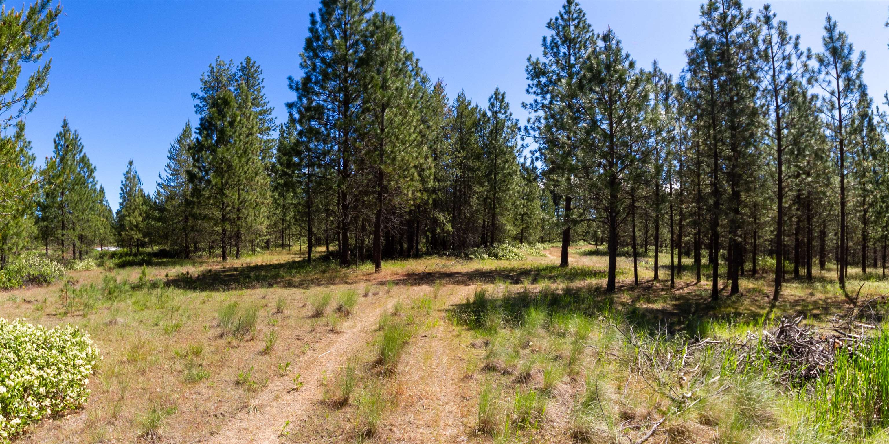 29-xxx North Hardesty Road Chattaroy, WA 99003 - Photo 23 of 40