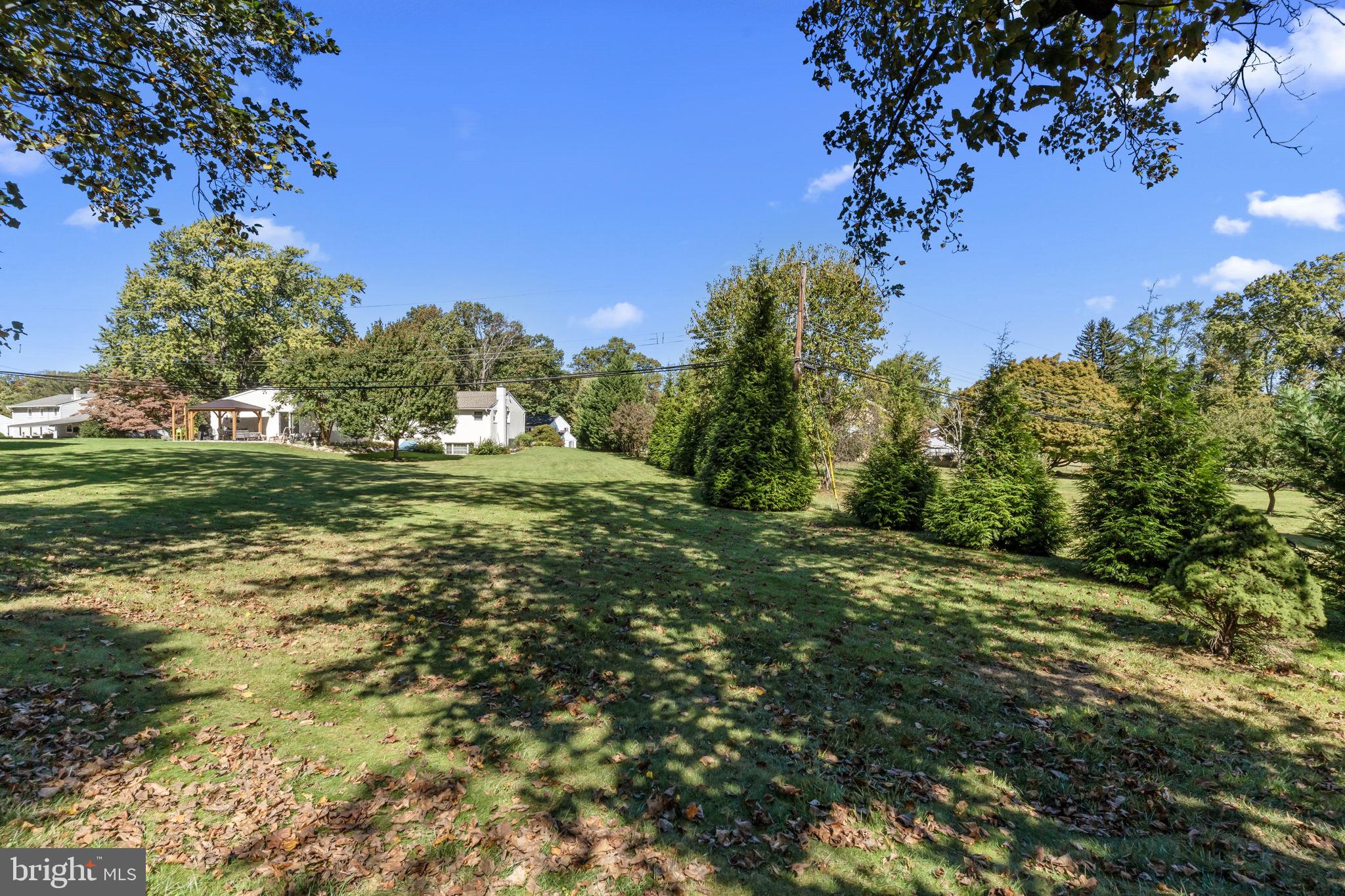 15 Roy Lane Huntingdon Valley, PA 19006 - Photo 42 of 45 a view of a field with a tree
