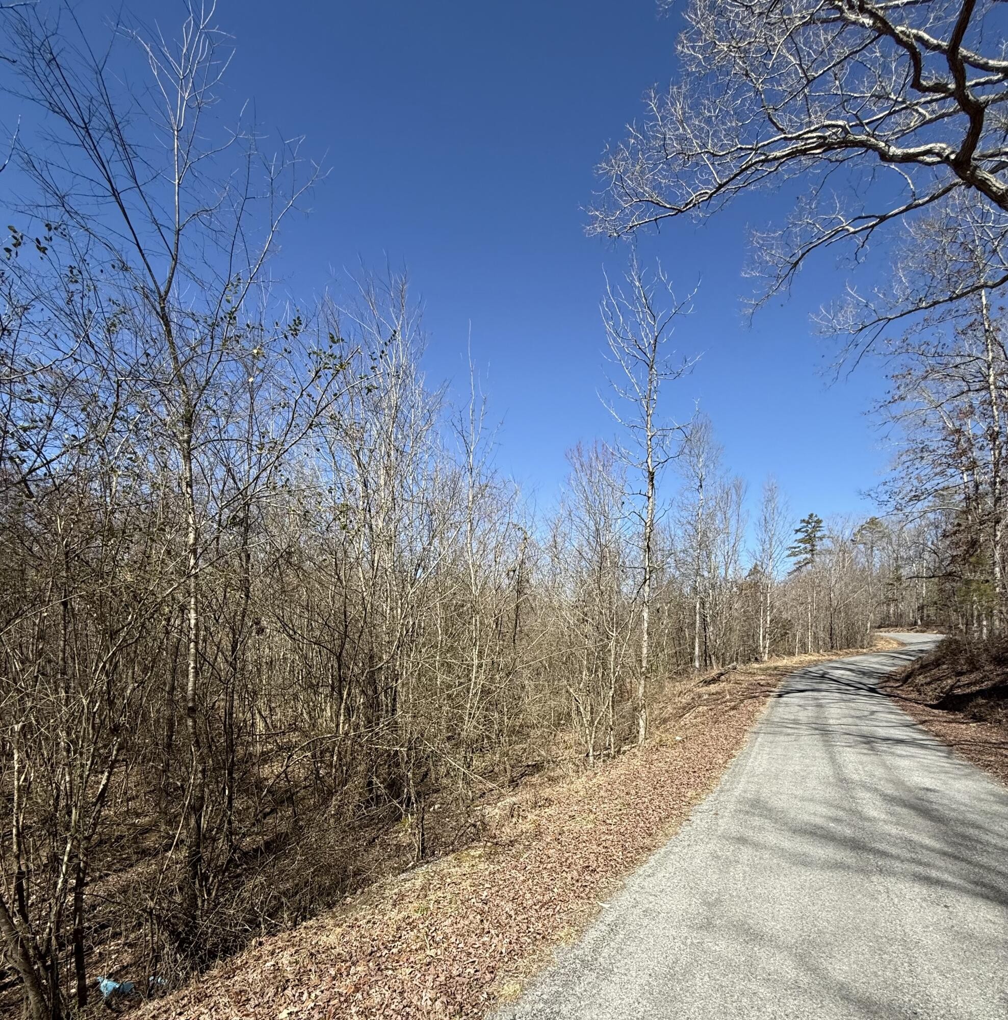 0 Will Allen Road Decatur, TN 37322 - Photo 1 of 9 Gallery Image 1
