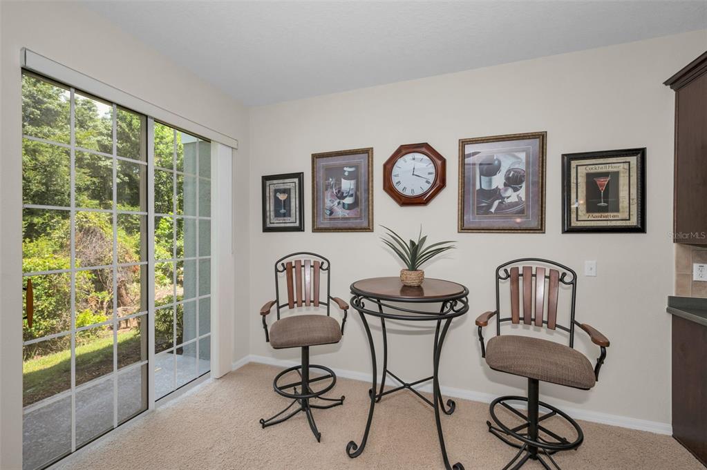 8525 Shallow Creek Court New Port Richey, FL 34653 - Photo 17 of 59