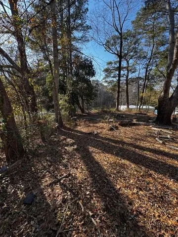 a view of a yard with plants and trees