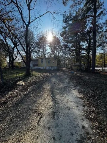 a view of a yard with plants and trees