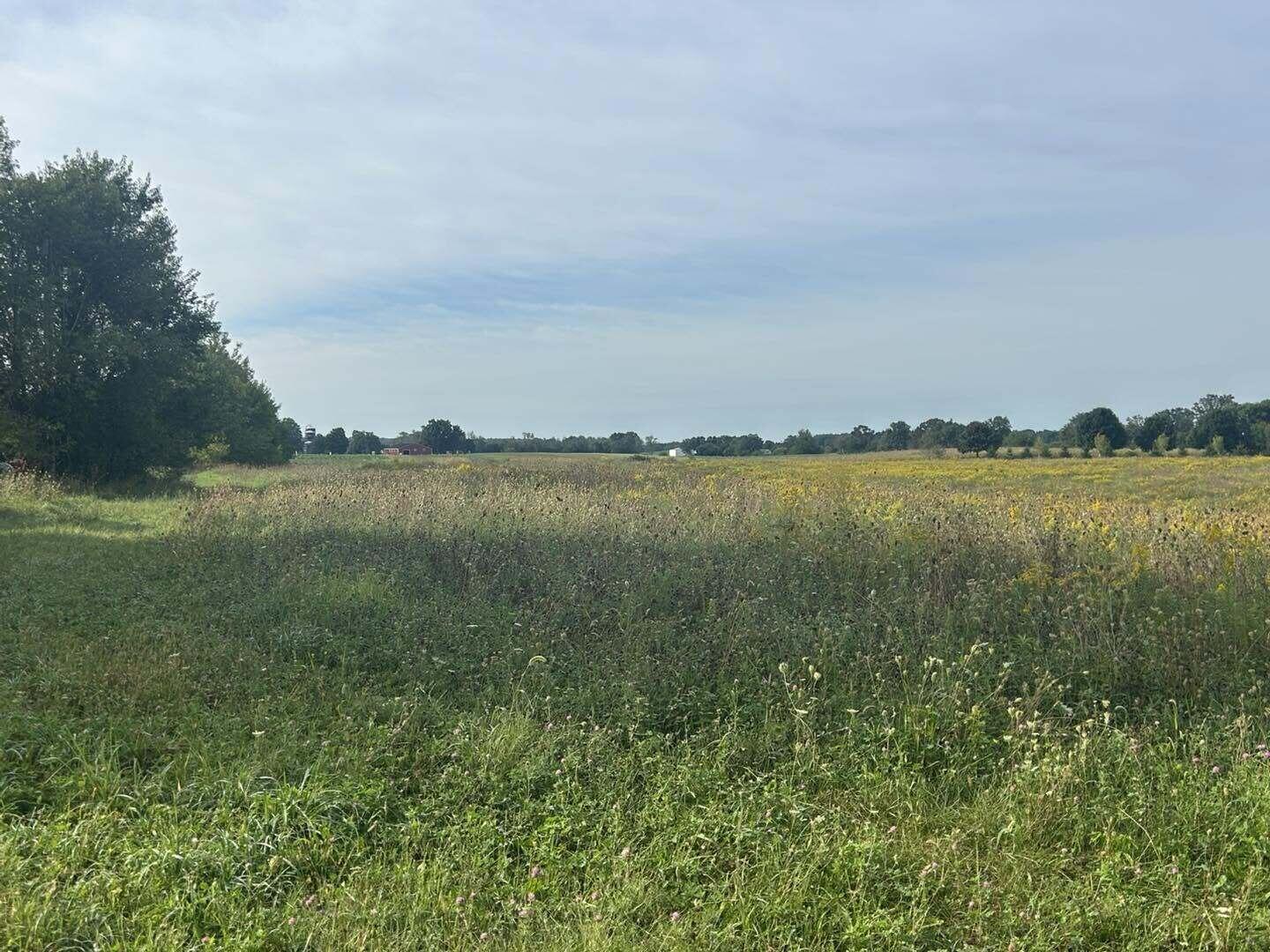 V/l Warner Road Concord, MI 49237 - Photo 4 of 7 war4