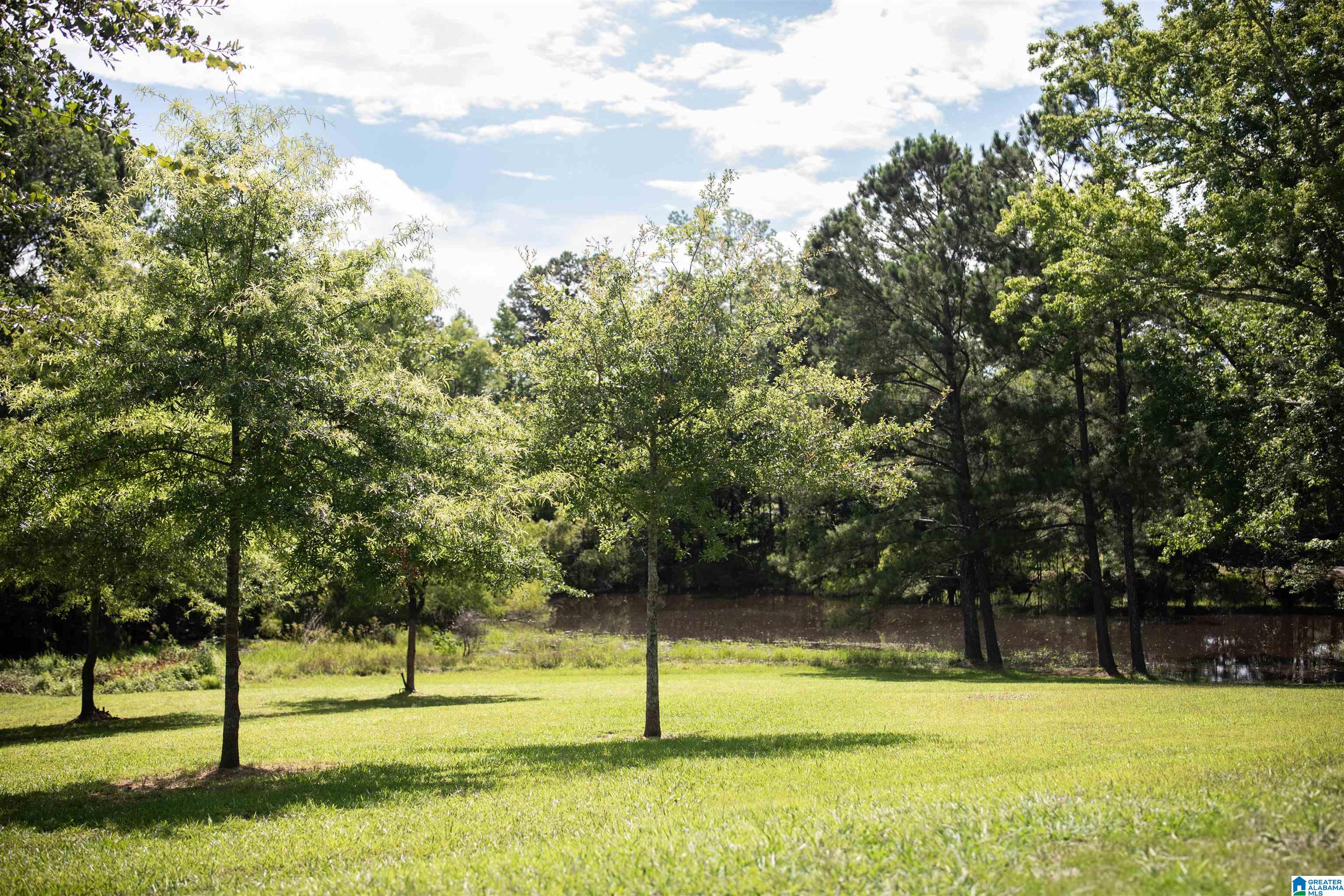 149 County Road 29 Oneonta, AL 35121 - Photo 5 of 25