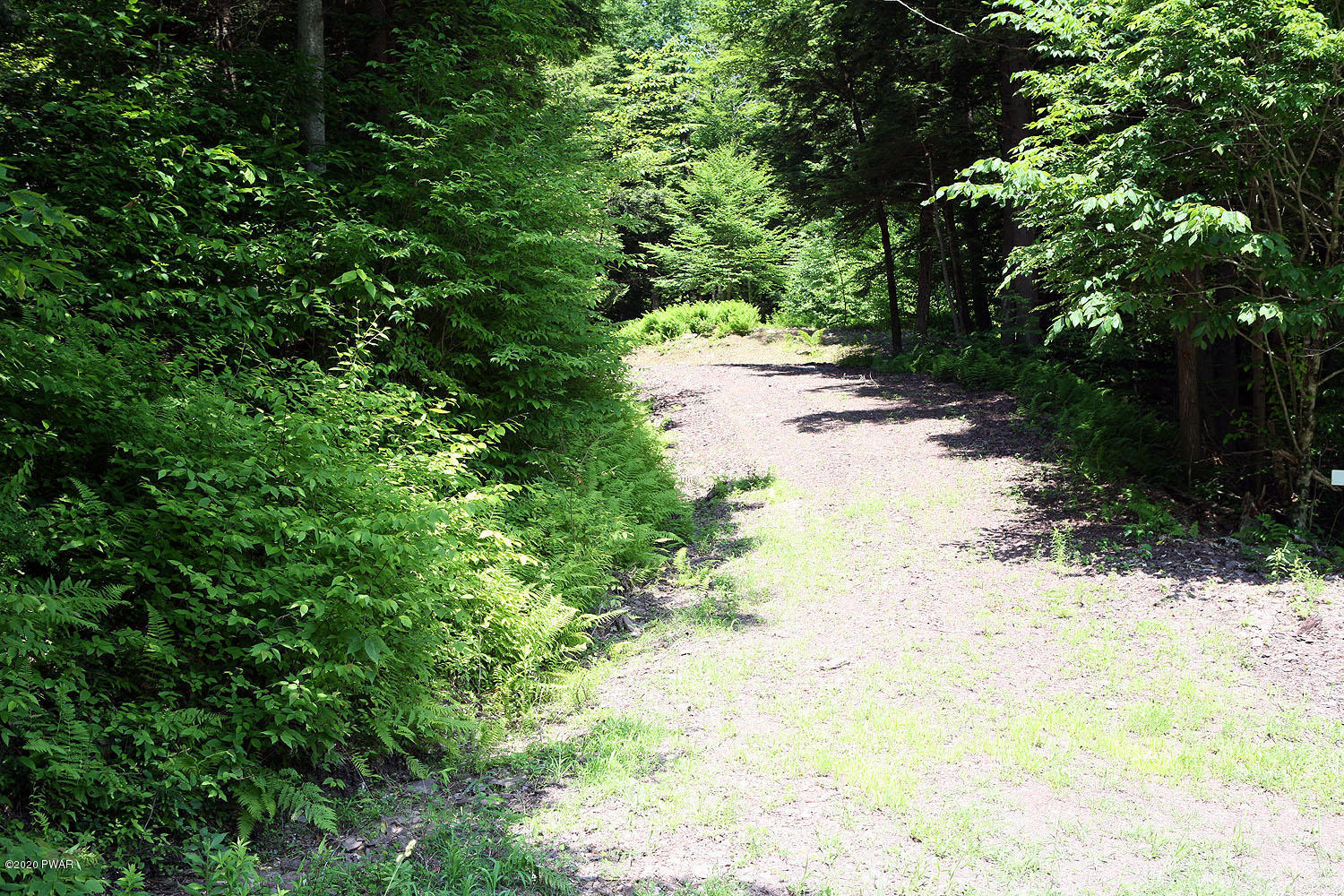 0 Braman Road Equinunk, PA 18417 - Photo 10 of 36