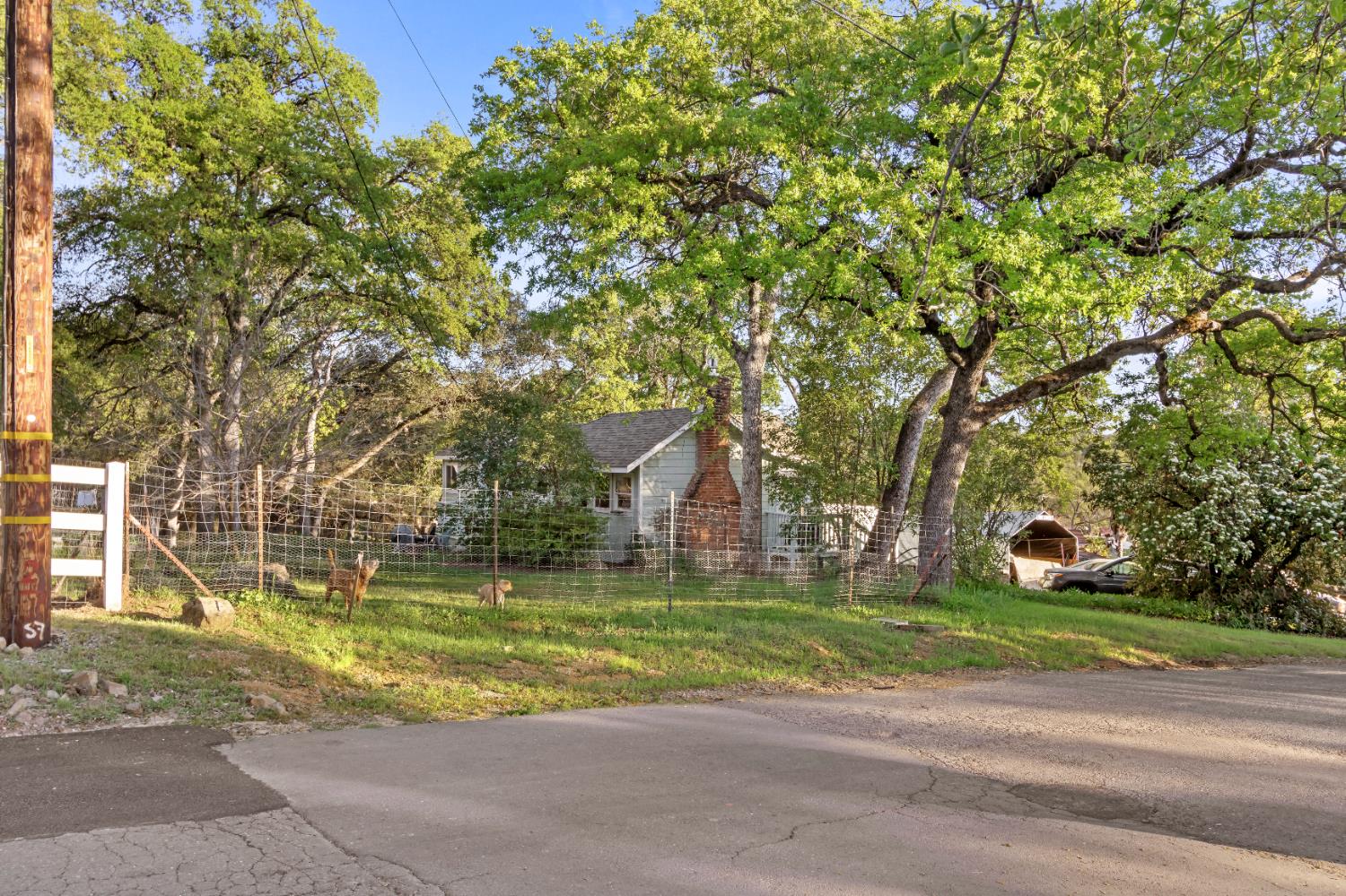 6641 Ribbon Lane Placerville, CA 95667 - Photo 17 of 21 a view of a volley ball court