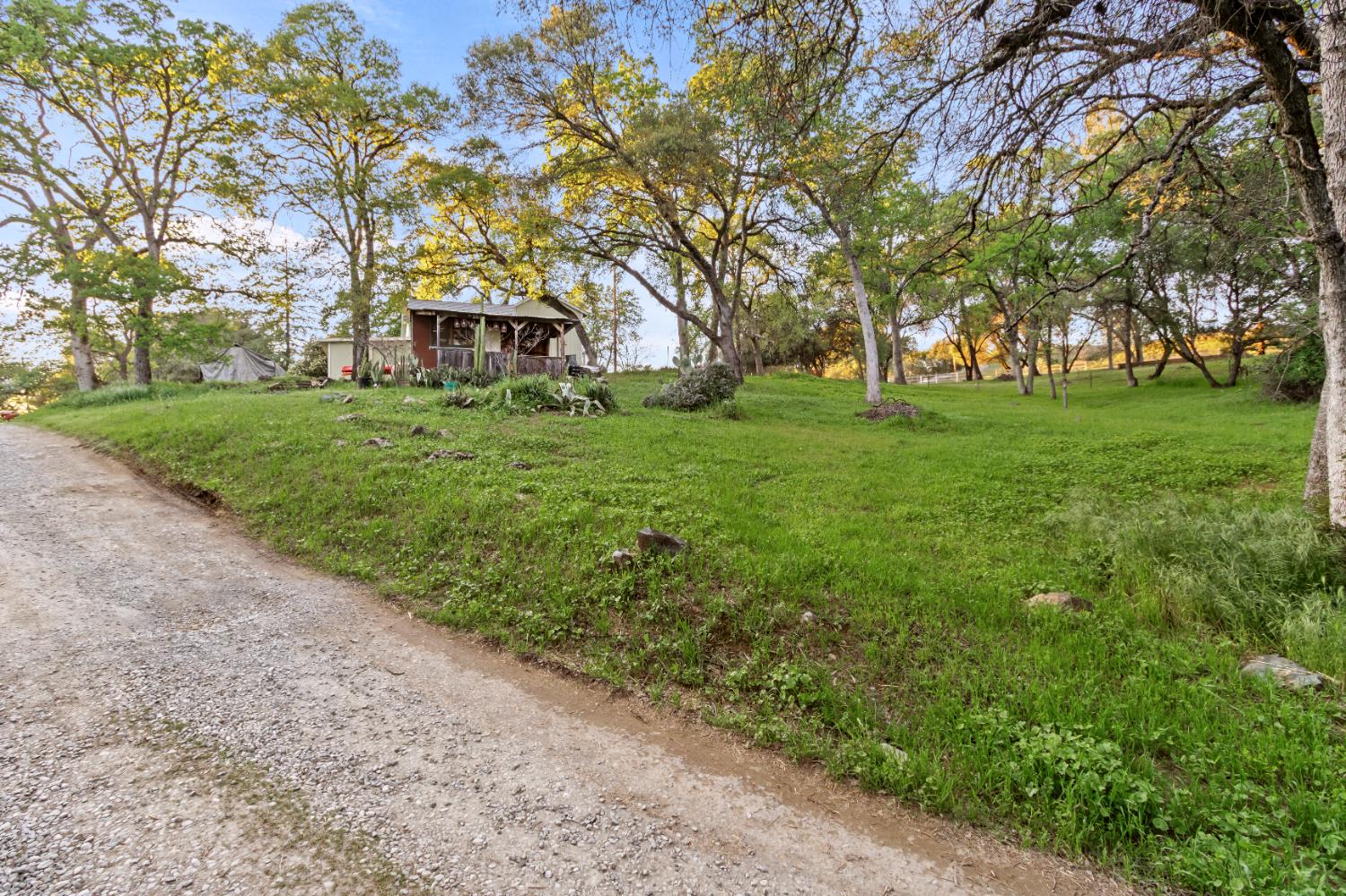 6641 Ribbon Lane Placerville, CA 95667 - Photo 20 of 21 a view of a house with a big yard and large trees