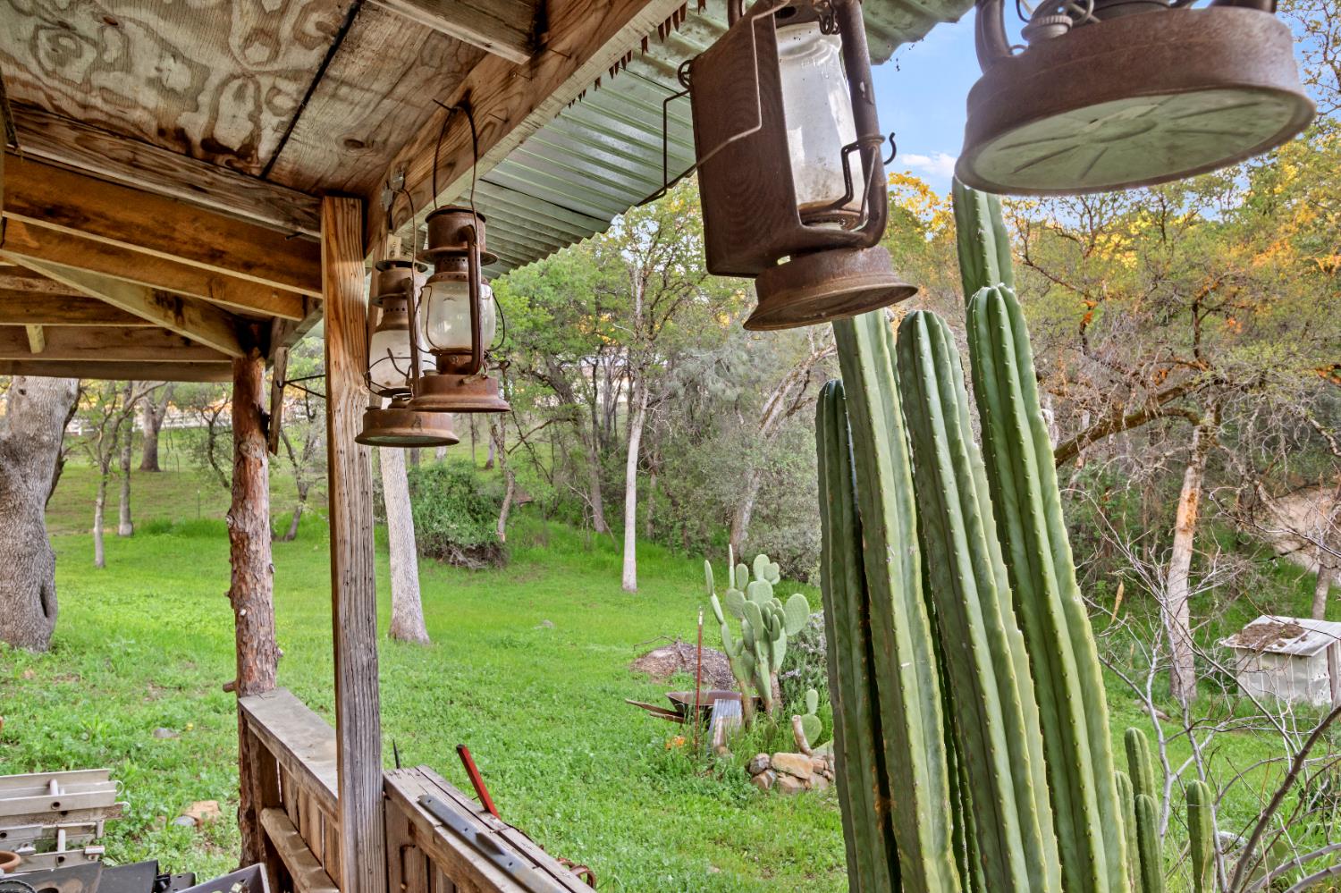 6641 Ribbon Lane Placerville, CA 95667 - Photo 21 of 21 a backyard of a house with lots of green space