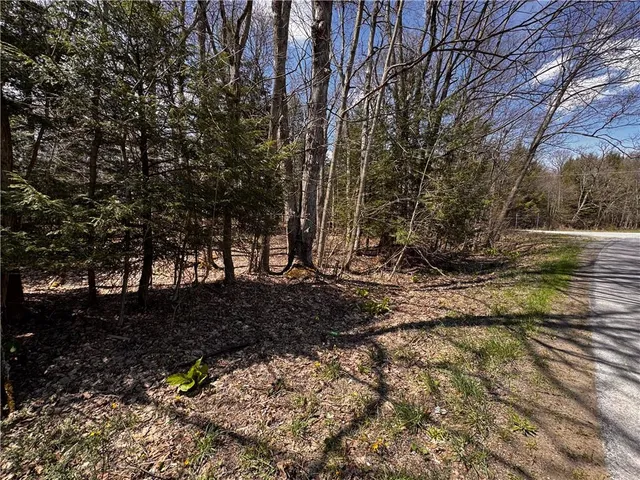 a view of backyard with green space