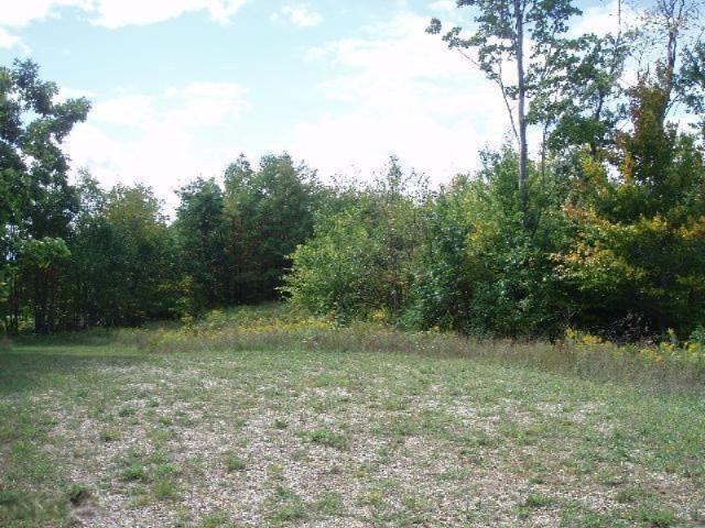 Valleyview Ridge Onekama, MI 49675 - Photo 8 of 16