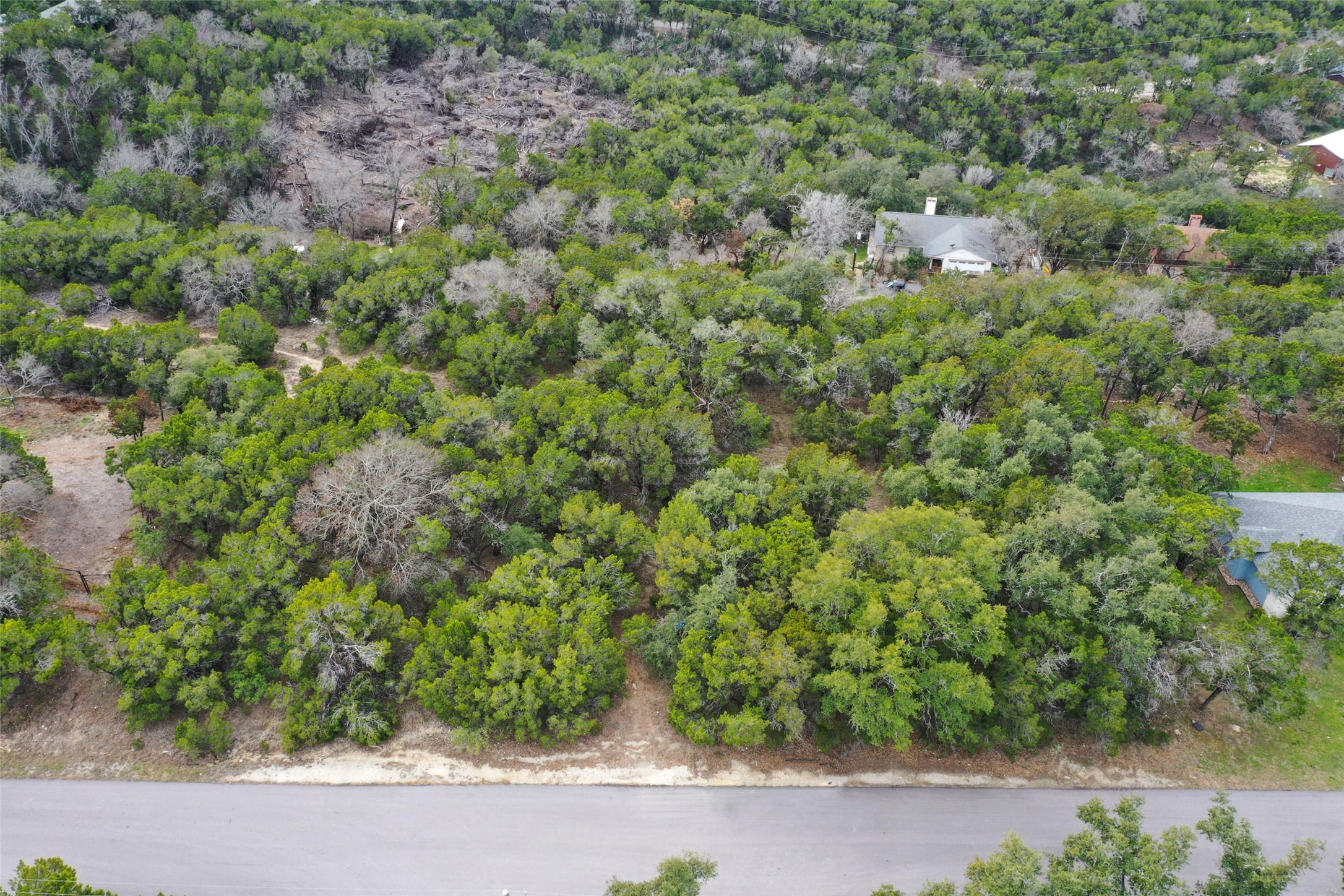 20607 Fawn Ridge Drive Leander, TX 78645 - Photo 11 of 20 an aerial view of residential house with outdoor space and trees all around