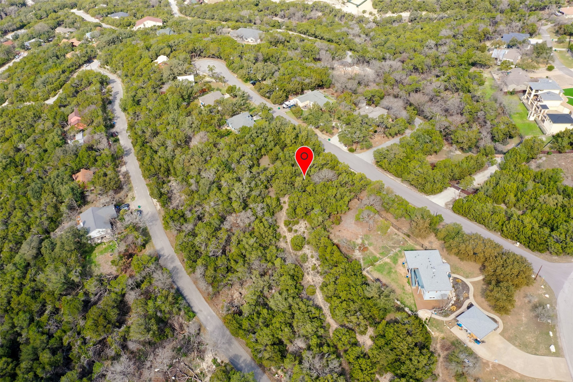20607 Fawn Ridge Drive Leander, TX 78645 - Photo 14 of 20 a view of flowers and tree