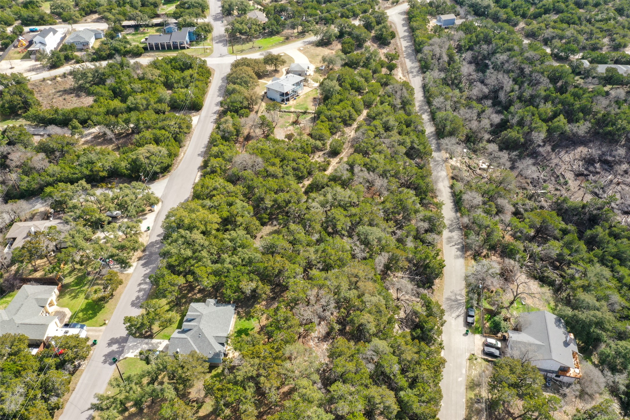 20607 Fawn Ridge Drive Leander, TX 78645 - Photo 15 of 20 a view of a forest with a tree