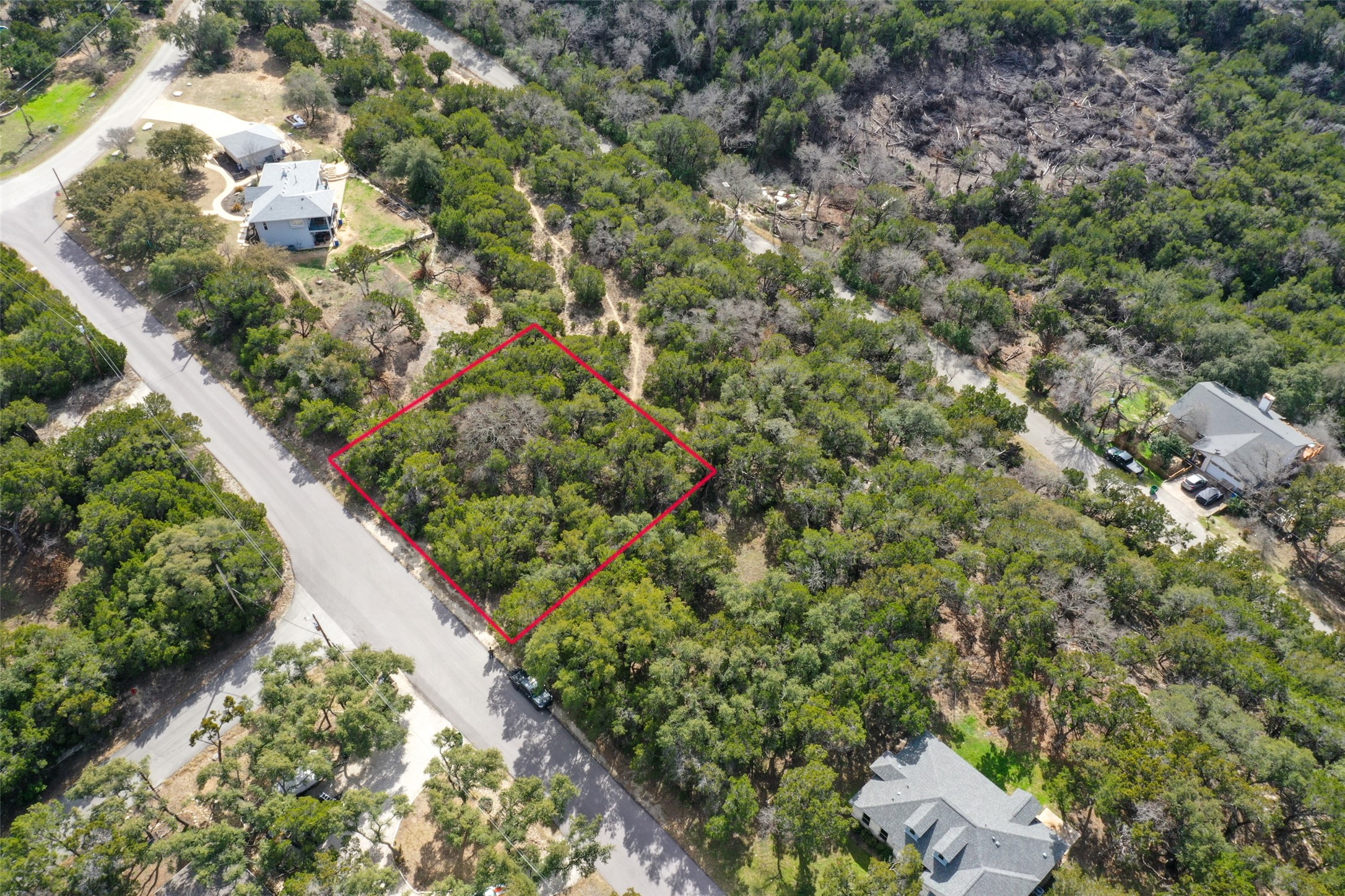 20607 Fawn Ridge Drive Leander, TX 78645 - Photo 16 of 20 a view of a garden with plants