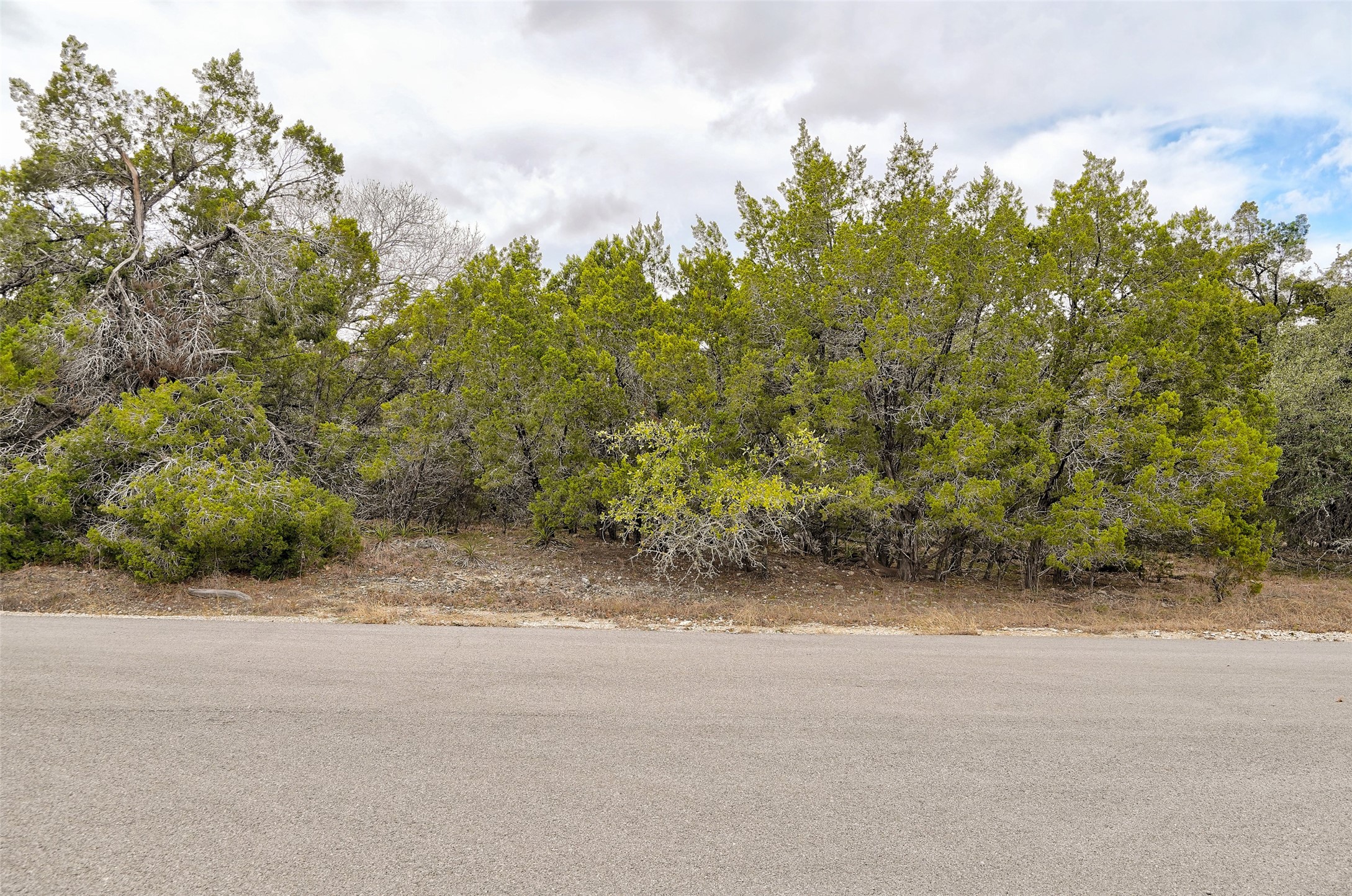20607 Fawn Ridge Drive Leander, TX 78645 - Photo 4 of 20 a view of a field with trees in background