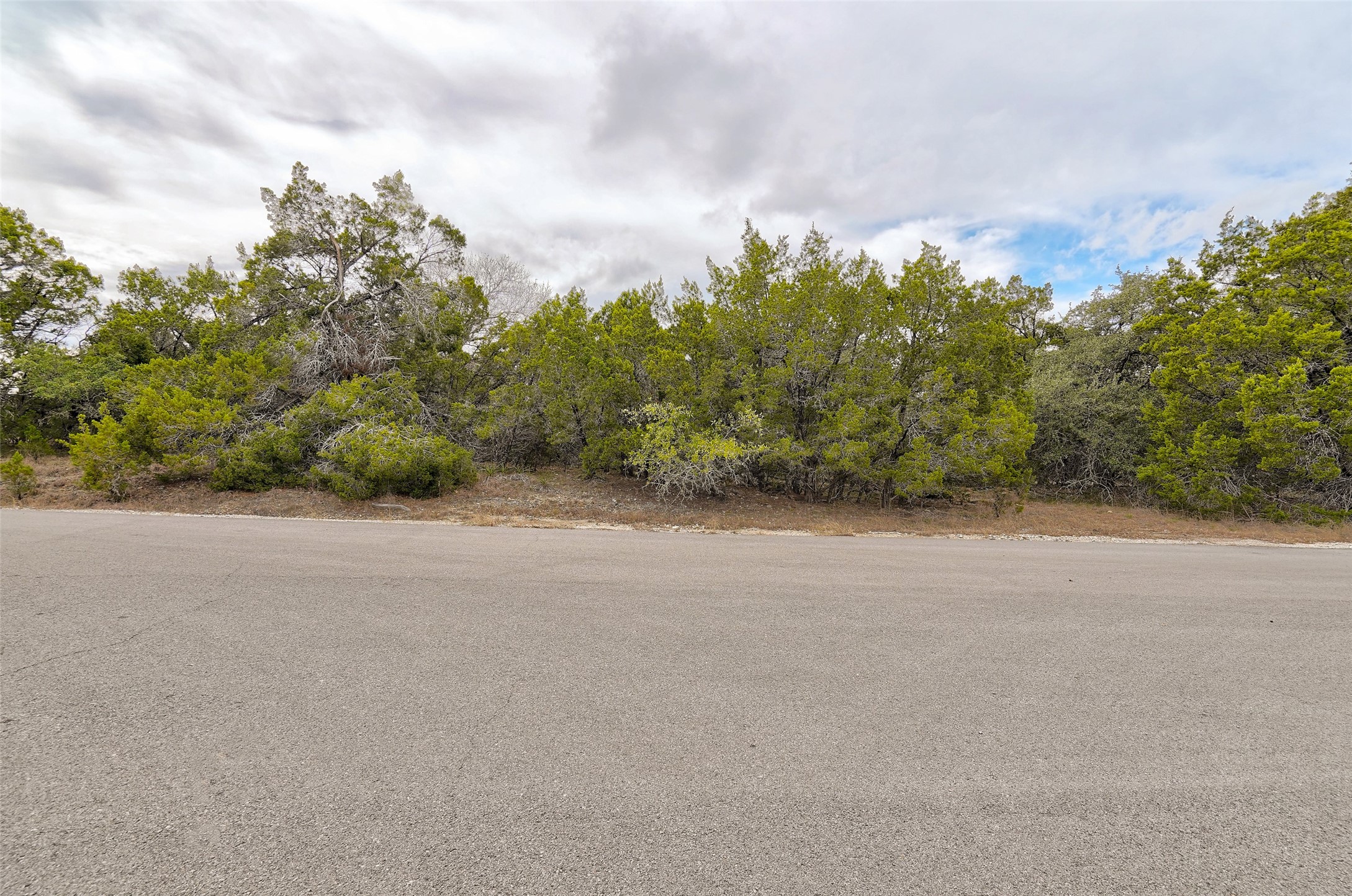 20607 Fawn Ridge Drive Leander, TX 78645 - Photo 5 of 20 a view of a field with trees in background