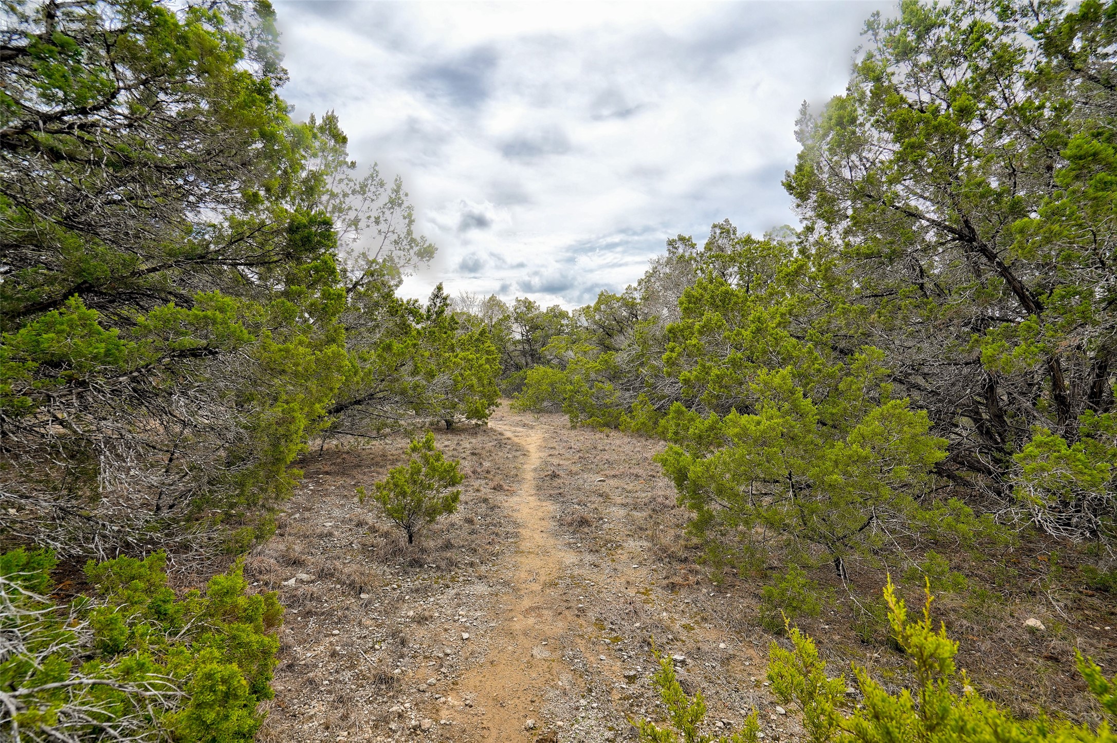 20607 Fawn Ridge Drive Leander, TX 78645 - Photo 7 of 20 a view of a pathway both side of yard
