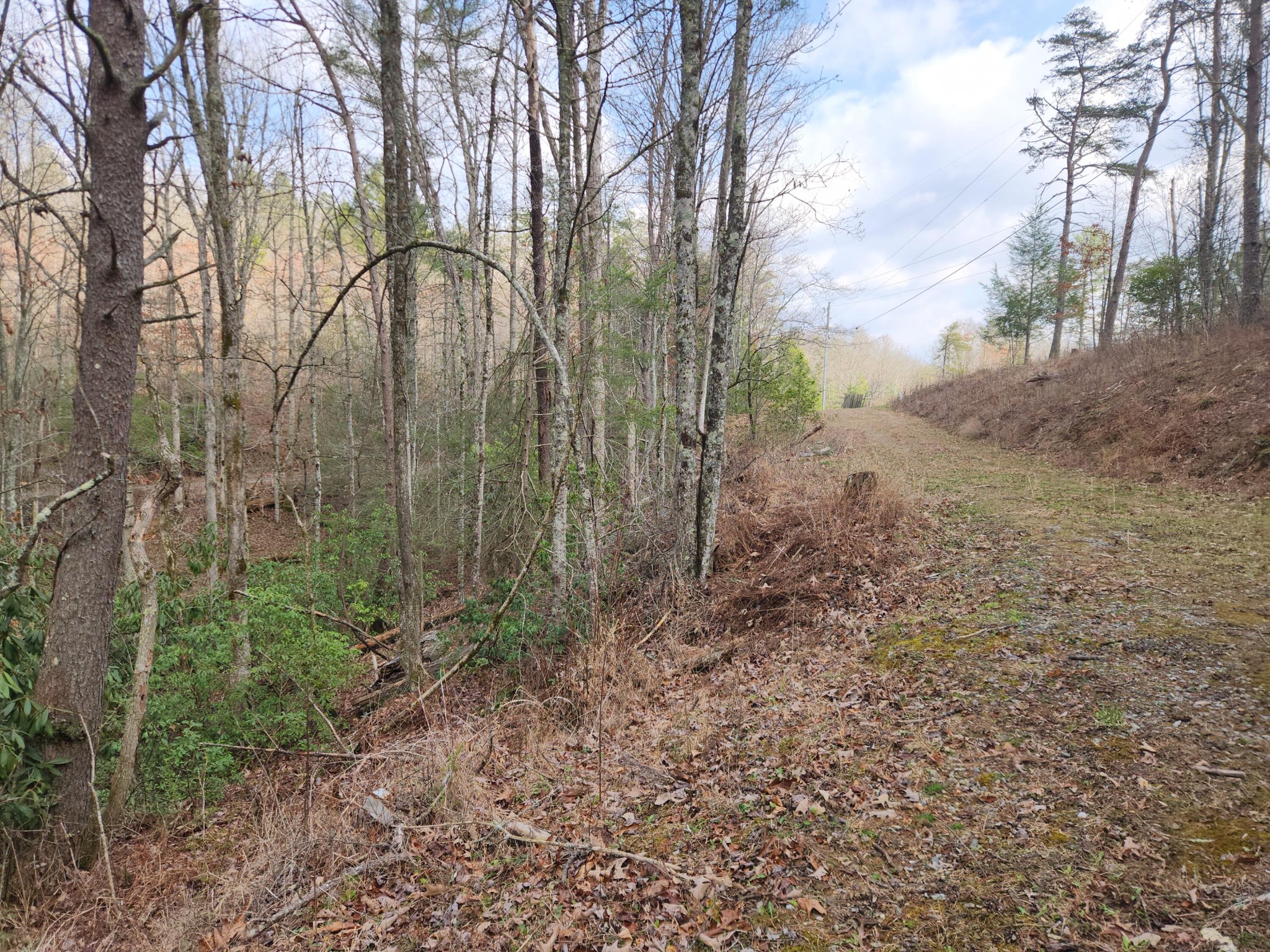 460 Tallent Road Copperhill, TN 37317 - Photo 44 of 52 Gallery Image 44