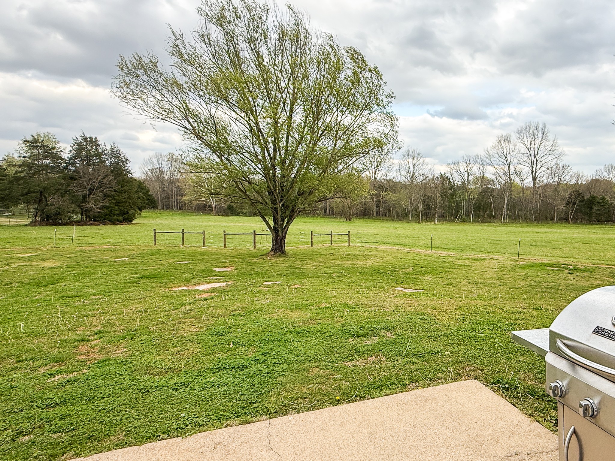 1004 Fall Parkway Murfreesboro, TN 37129 - Photo 3 of 15 a view of outdoor space with trees all around