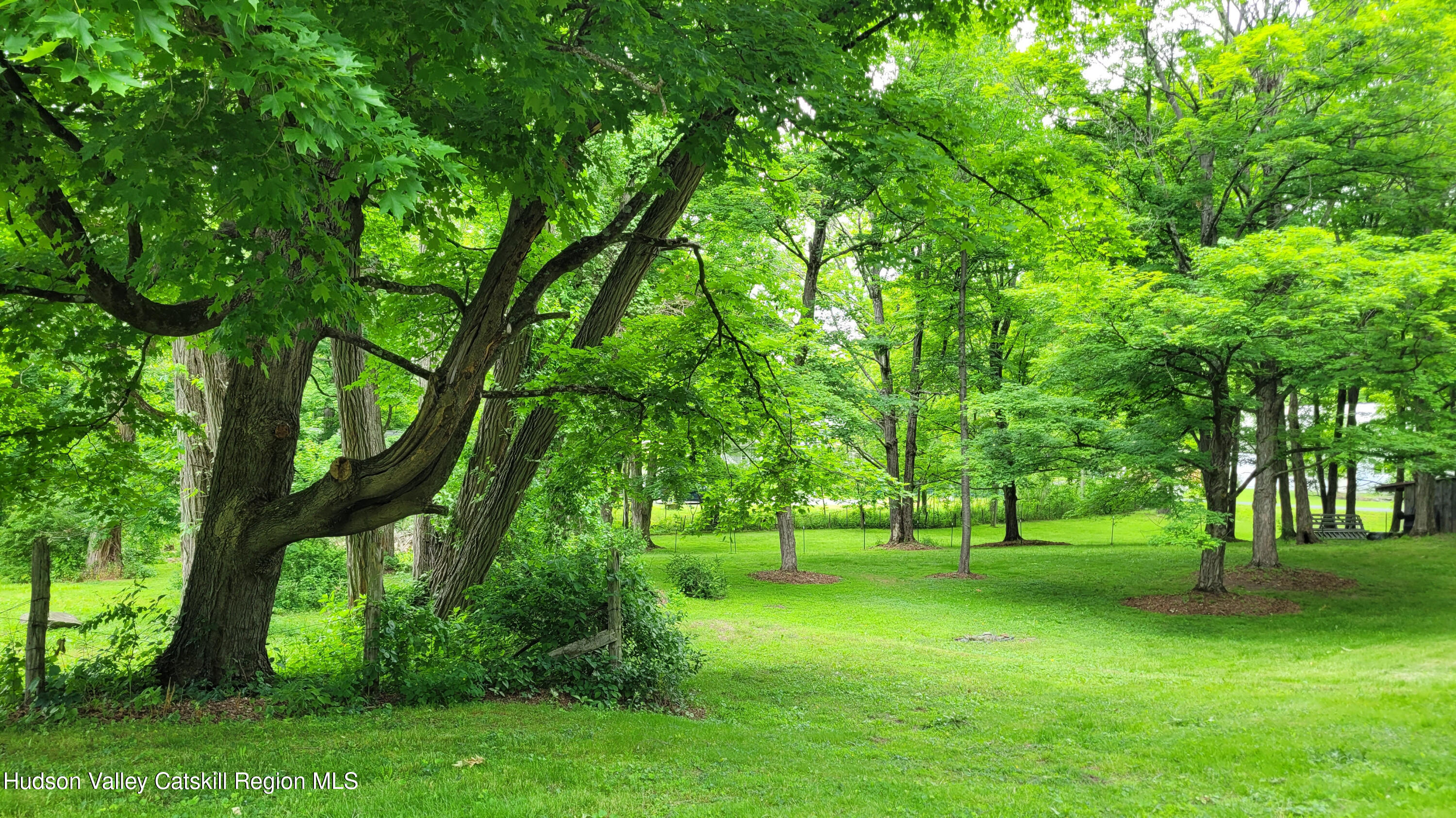 32 Old Rte 199 Red Hook, NY 12571 - Photo 4 of 34 area near sheep barn - Copy