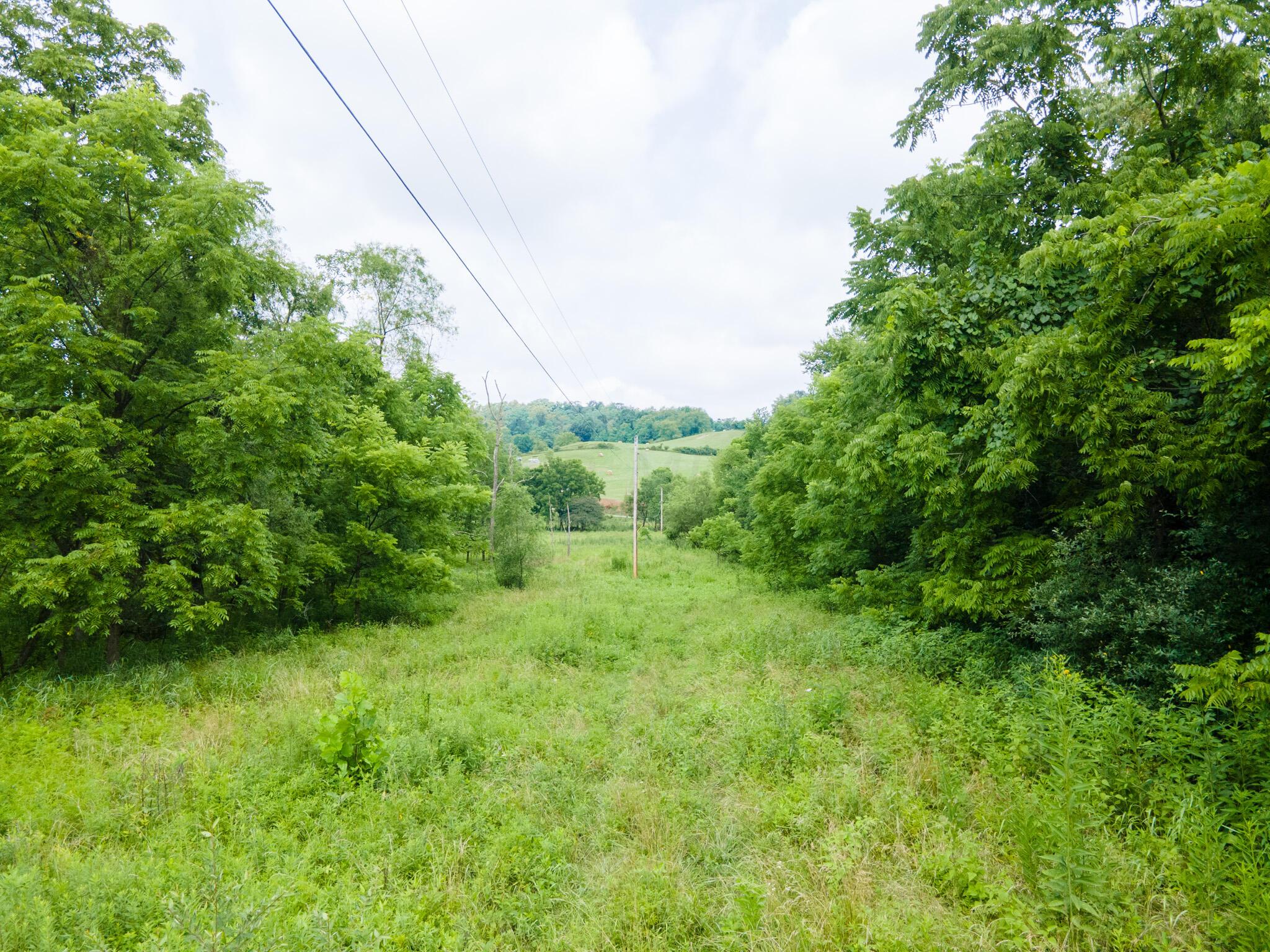 0 White Eyes Road Norwich, OH 43767 - Photo 9 of 14 DJI_0022
