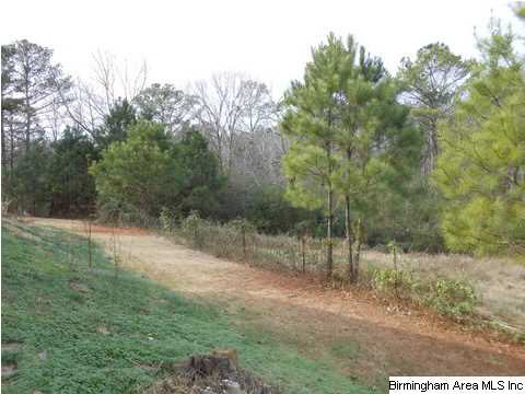 3830 Highway 29 Oneonta Al Oneonta, AL 35121 - Photo 12 of 21