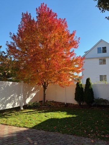 43 Kenmere Road, Unit 1 Medford, MA 02155 - Photo 38 of 42