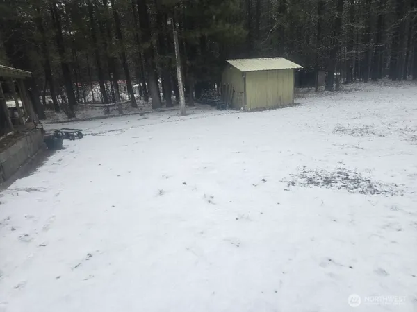 a view of outdoor space with trees