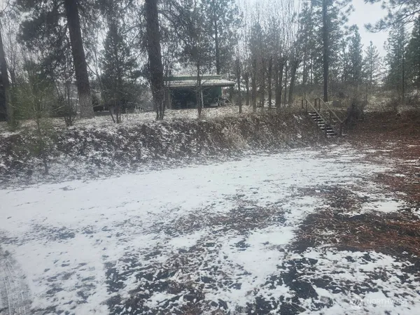 a view of a yard with a tree