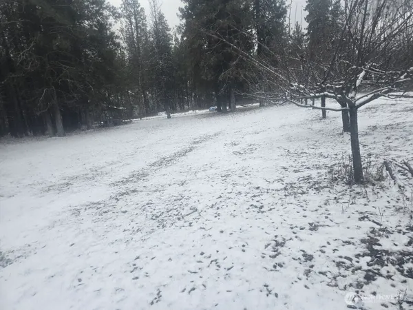 a view of a yard covered in snow