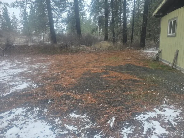a view of a yard with trees