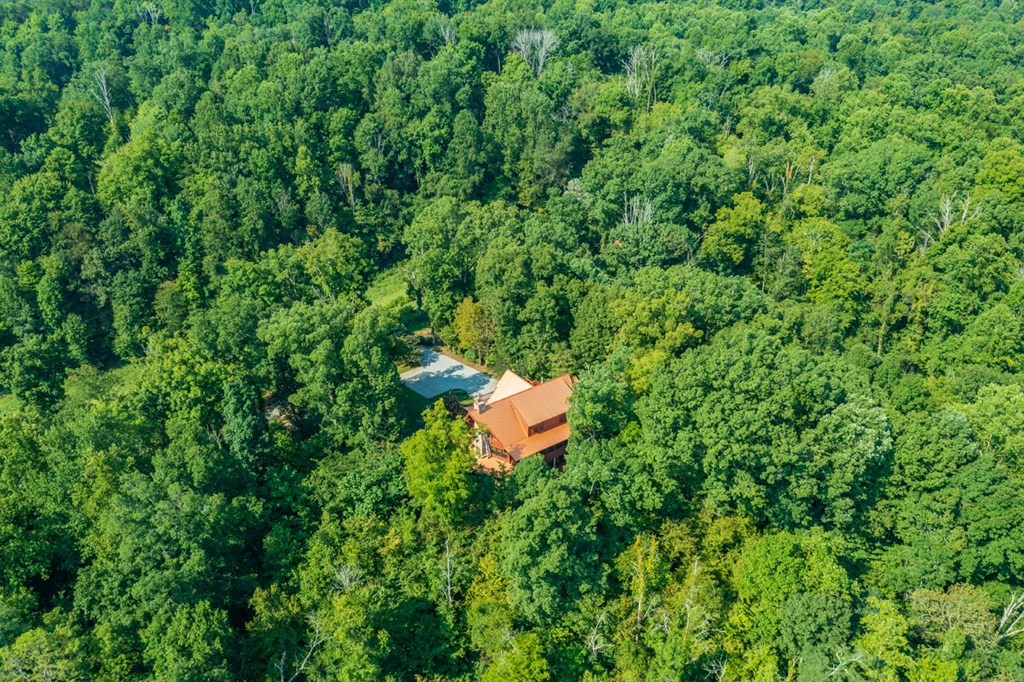 1451 Baker Road Sevierville, TN 37876 - Photo 53 of 74 Gallery Image 53