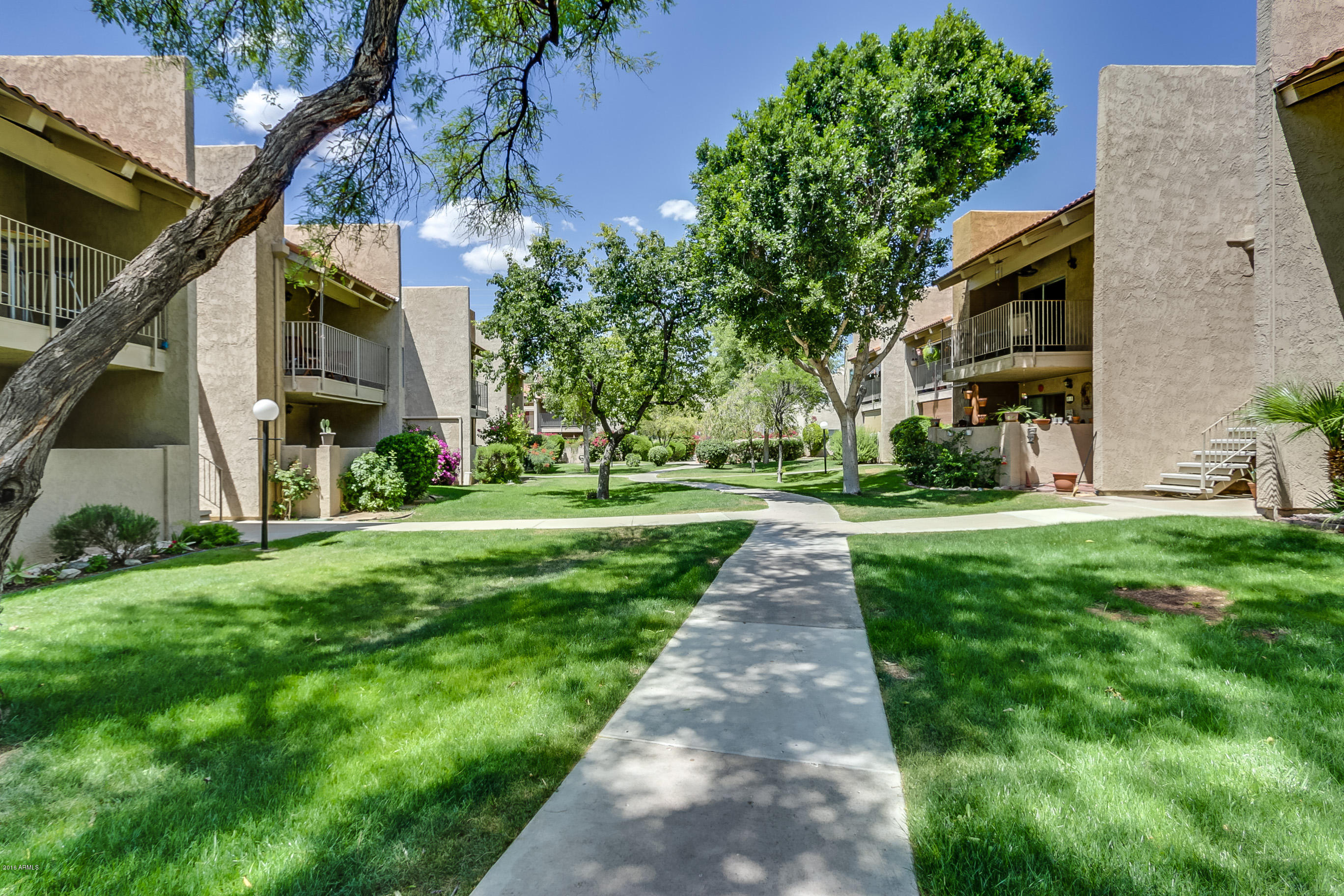 5525 East Thomas Road, Unit Q1 Phoenix, AZ 85018 - Photo 20 of 24 Beautiful Grounds